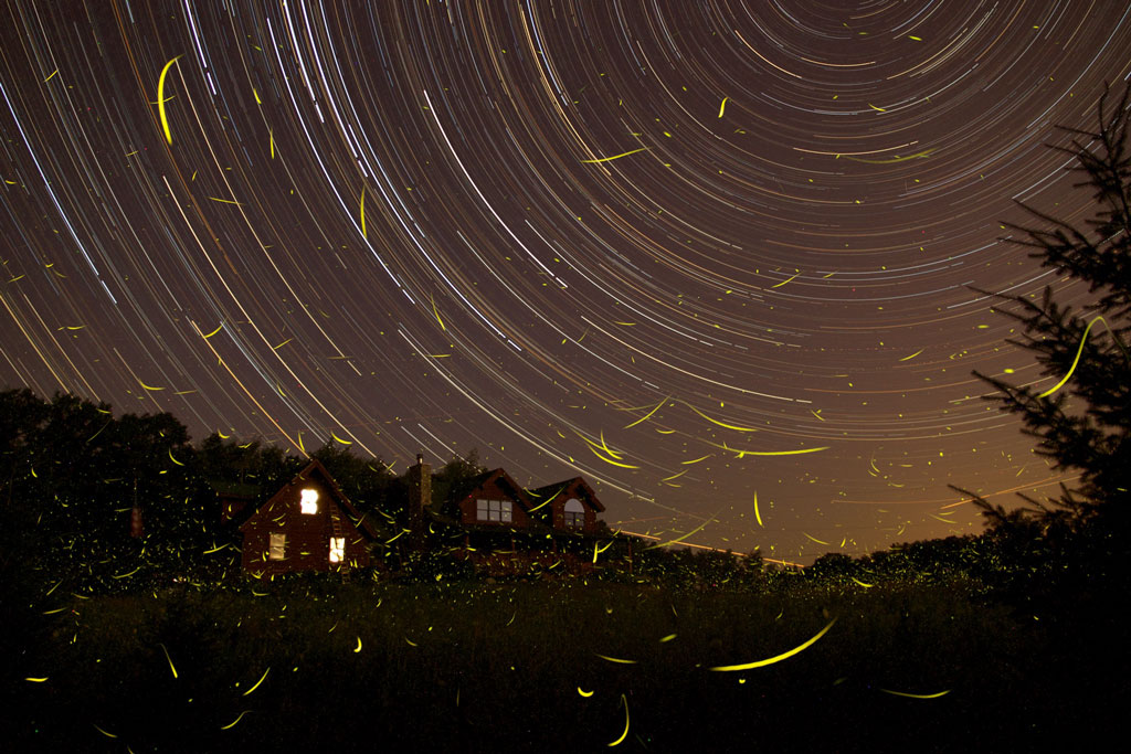 APOD: 2011 August 5 – A Summer Night’s Dream
