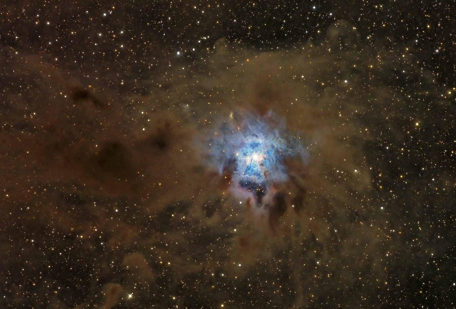 APOD: 2011 August 4 – A Dusty Iris Nebula