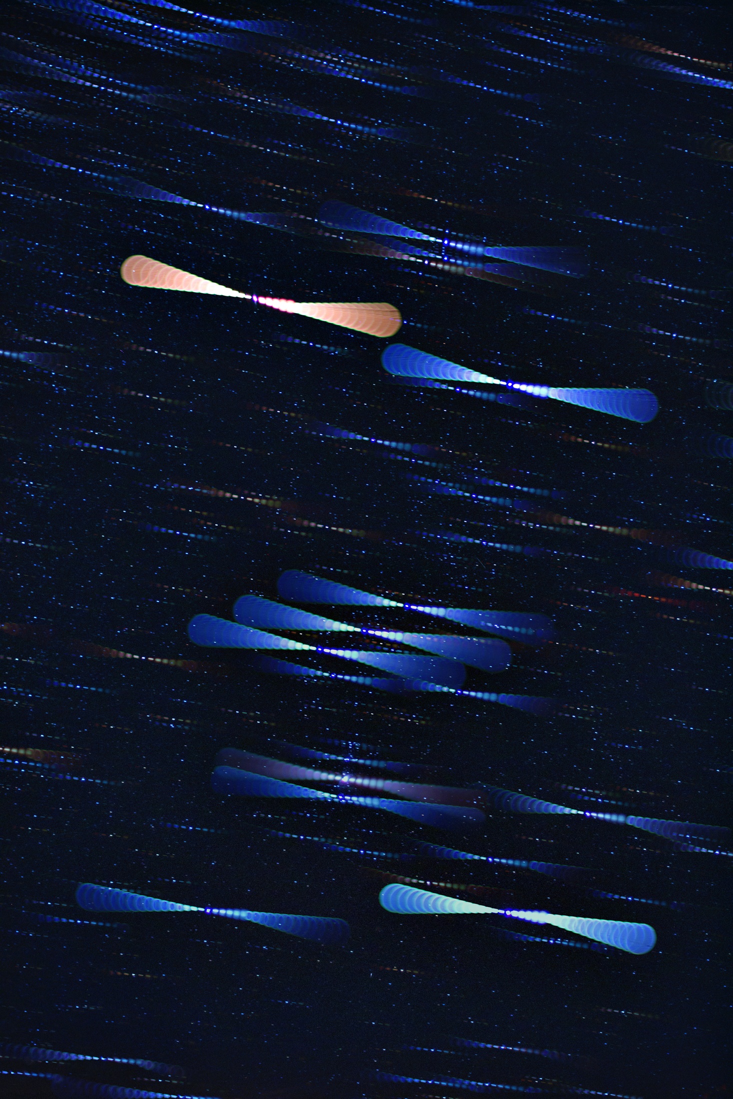 APOD: 2011 February 11 – Star Colors in Orion