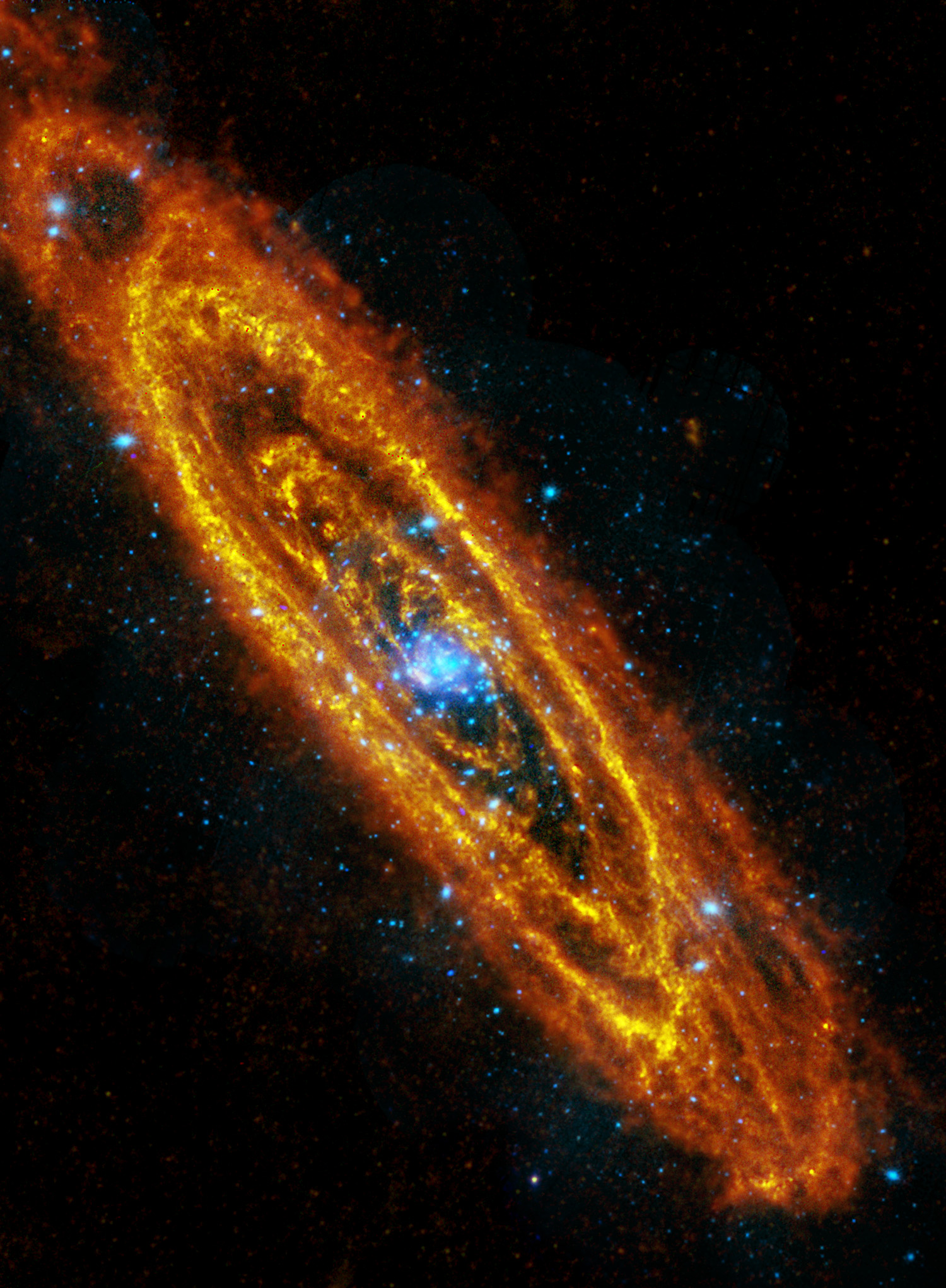 APOD: 2011 January 20 – The Once and Future Stars of Andromeda