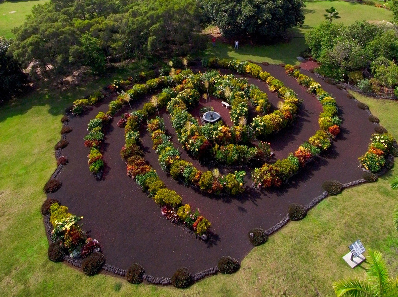 APOD: 2011 January 18 – Kona Galaxy Garden