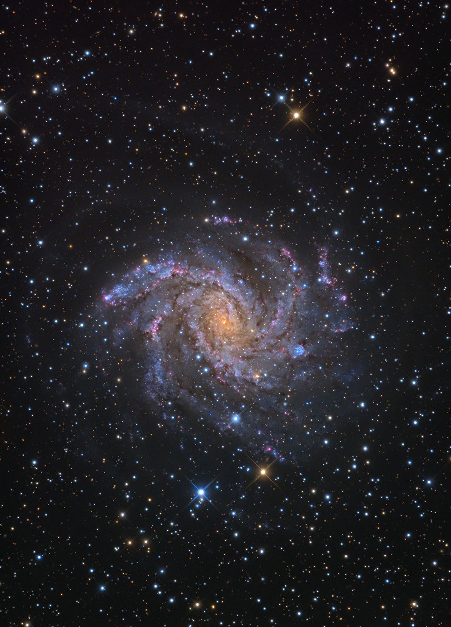 APOD: 2011 January 1 - Fireworks Galaxy NGC 6946 - NASA Science