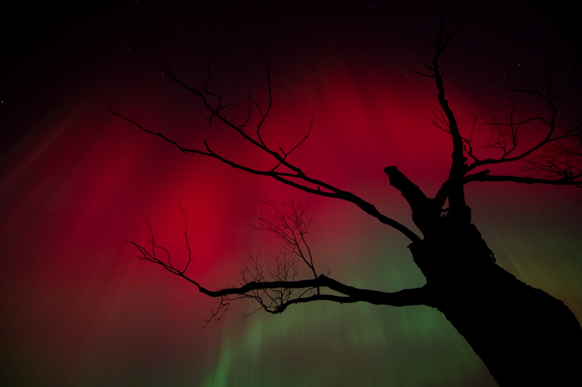 APOD: 2011 October 28 – October Skylights
