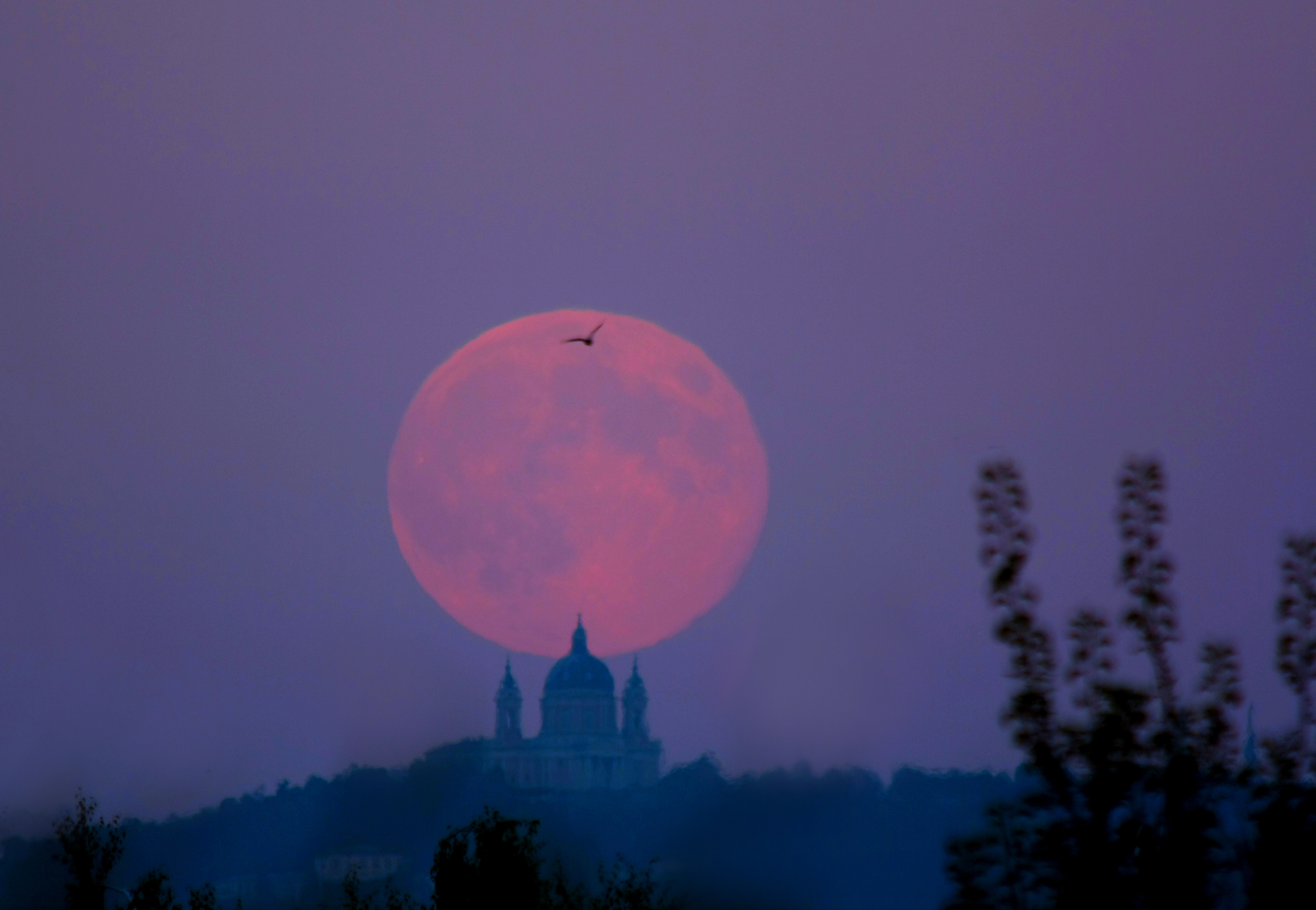 APOD: 2011 September 16 – September’s Harvest Moon