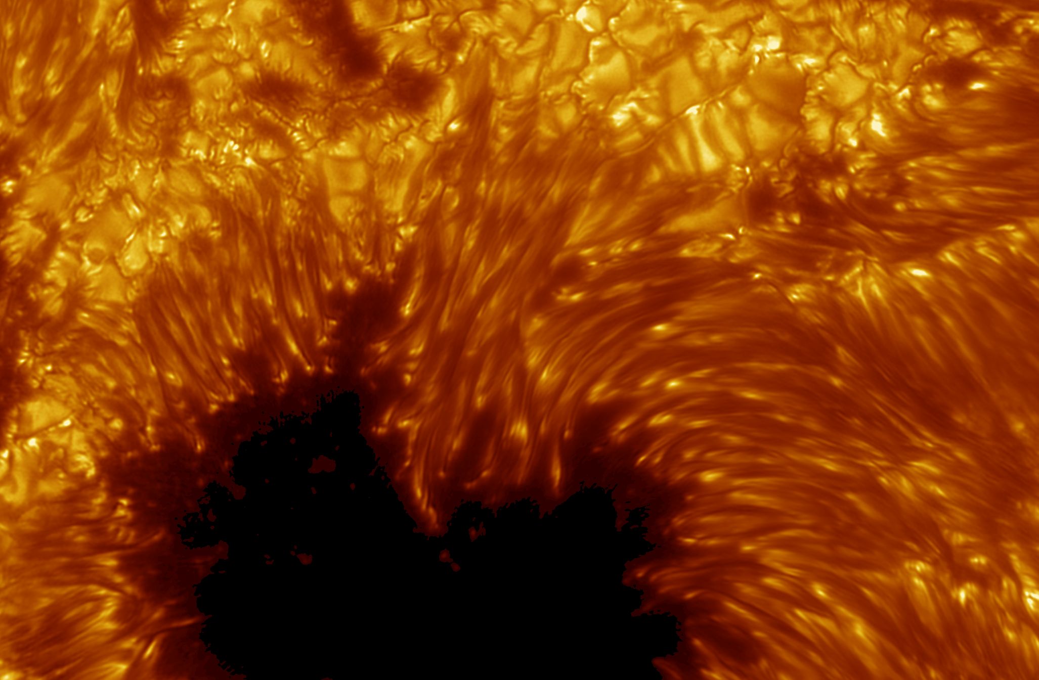 APOD: 2011 September 18 – A Sharp View of the Sun