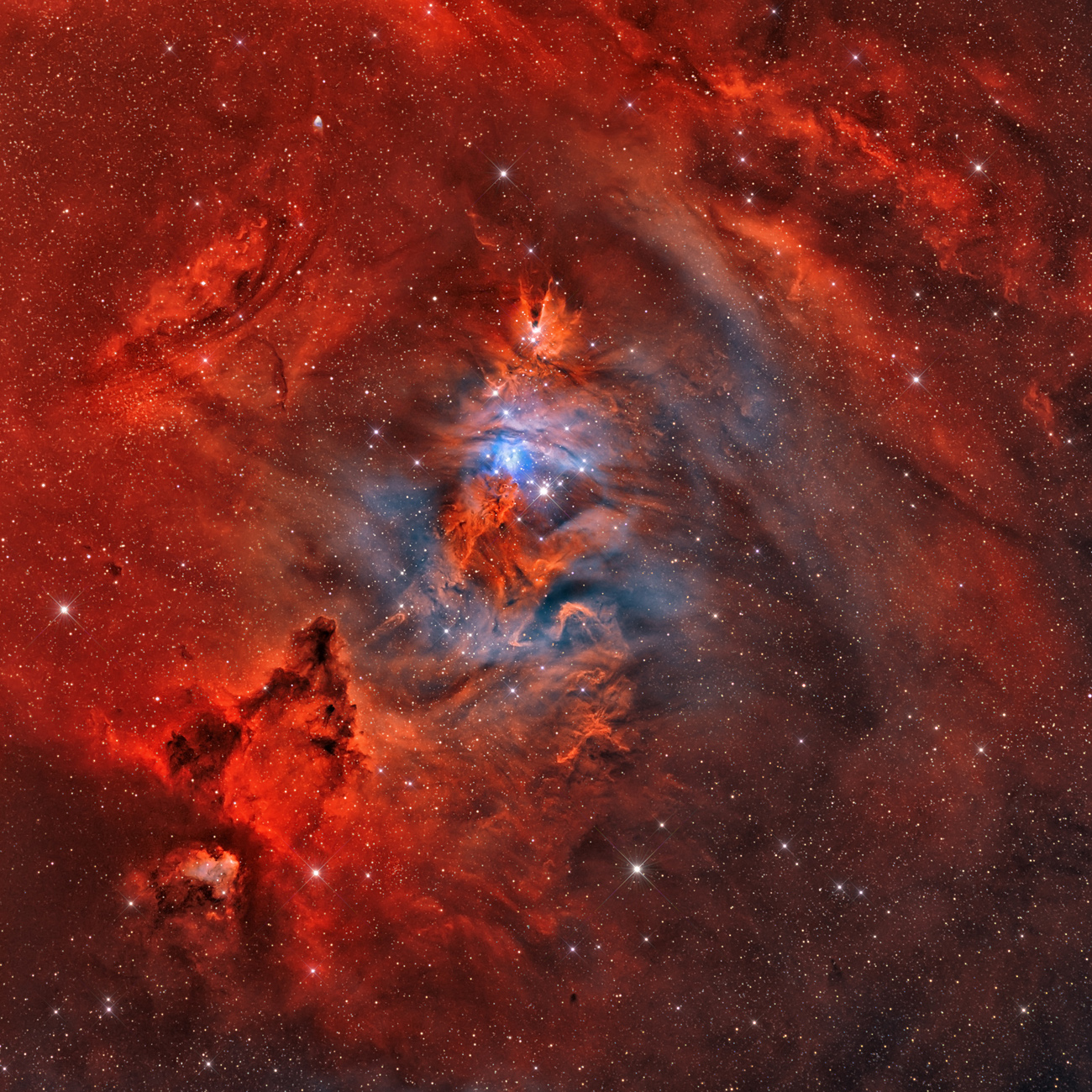 APOD: 2012 April 10 – A Fox Fur, a Unicorn, and a Christmas Tree