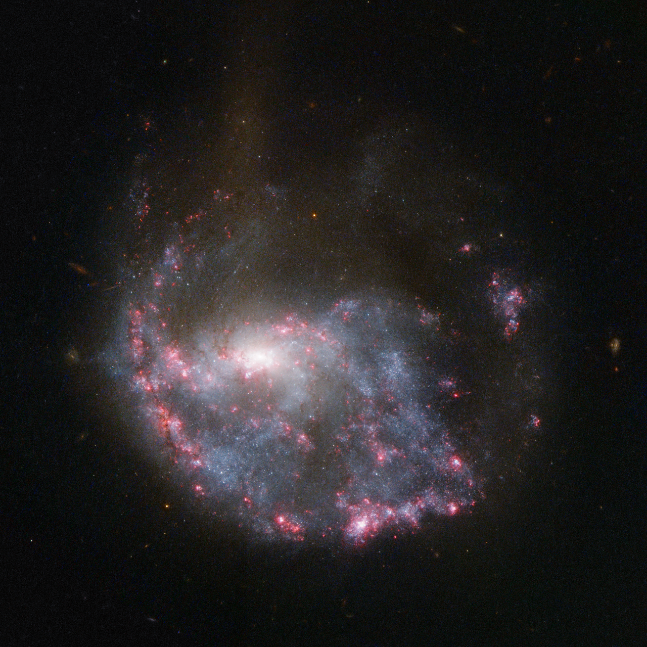 APOD: 2012 December 17 – NGC 922: Collisional Ring Galaxy