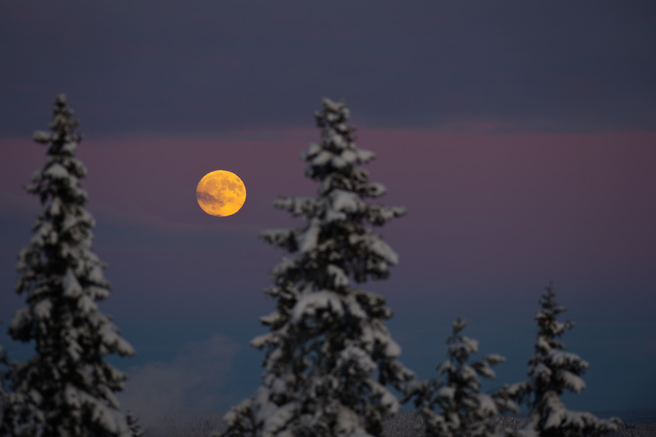 APOD: 2012 January 20 – The Wolf’s Moon