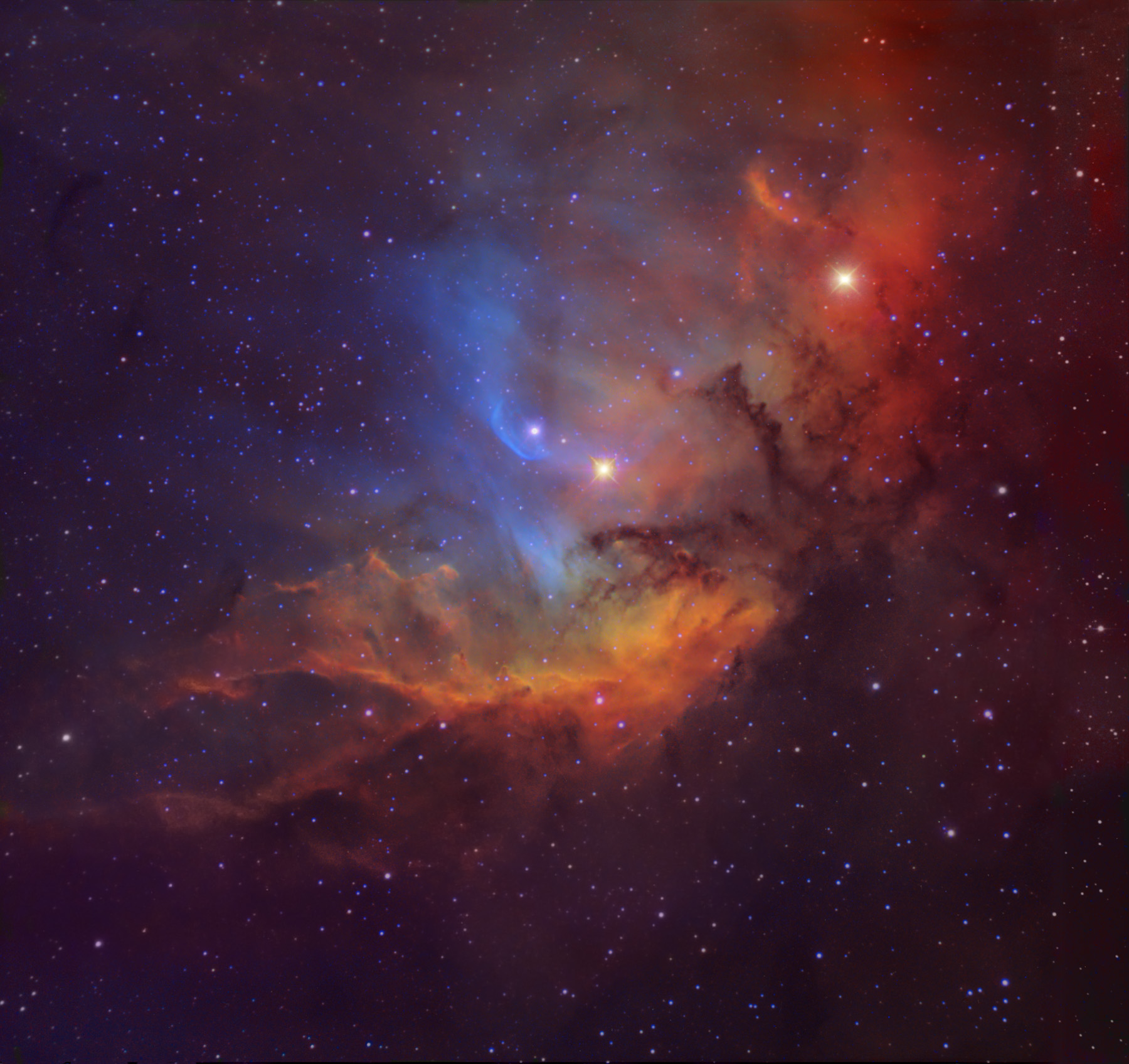 APOD: 2012 July 26 – The Tulip in the Swan