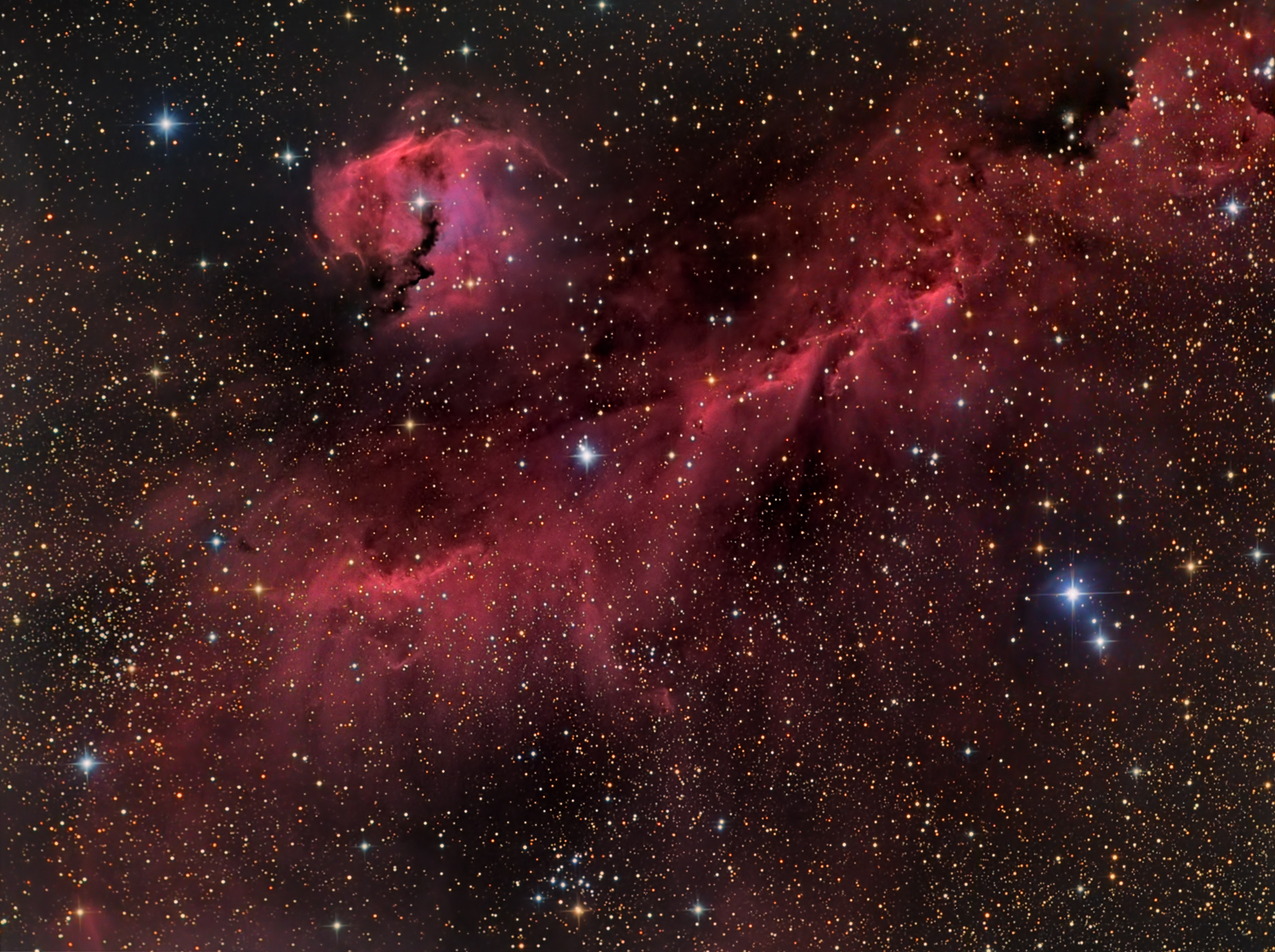APOD: 2012 March 8 – The Seagull Nebula