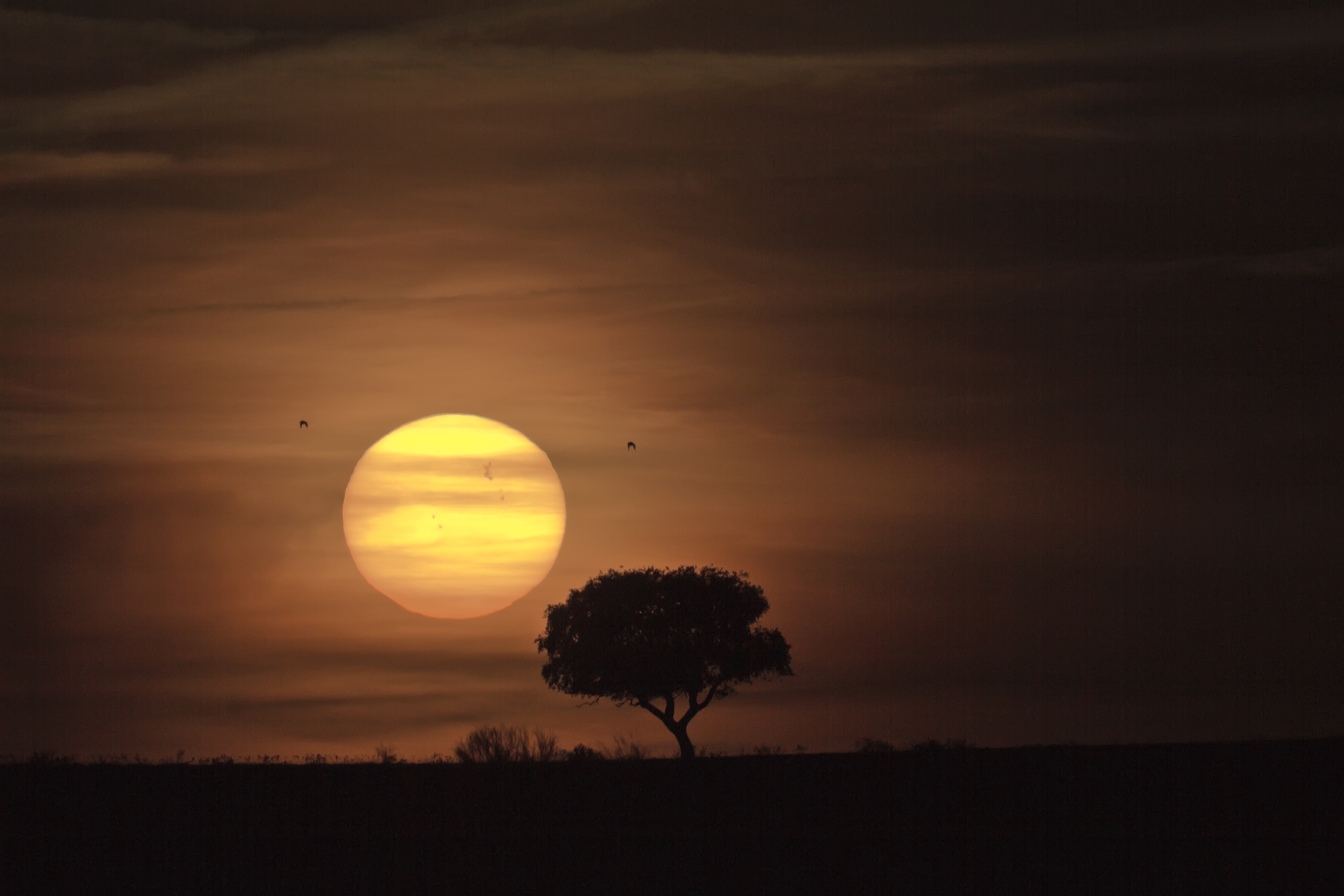 APOD: 2012 March 19 – Sunspot Group 1429 and the Distant Sun