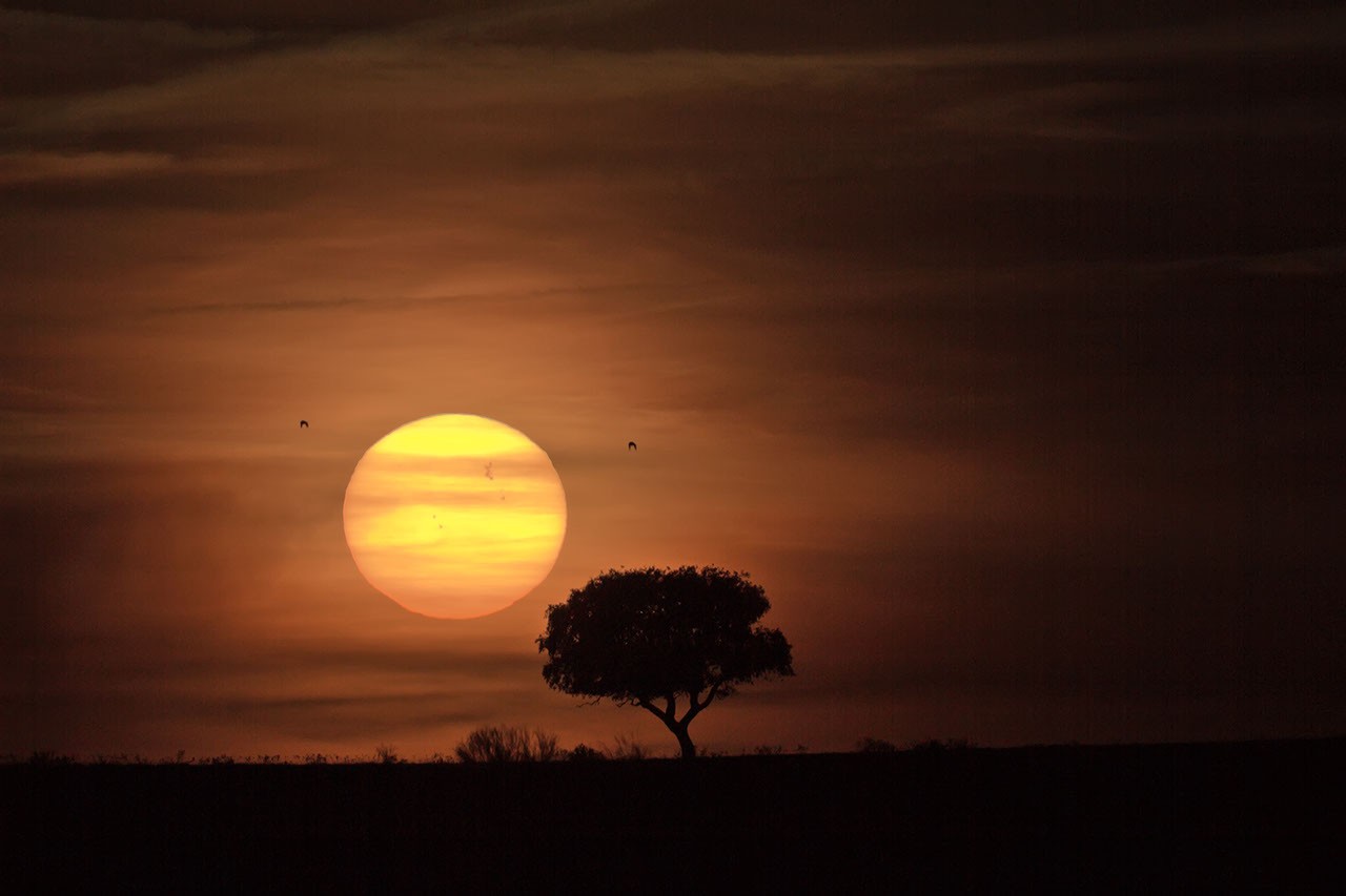 Sunspot Group 1429 and the Distant Sun — APOD for 2012-03-19