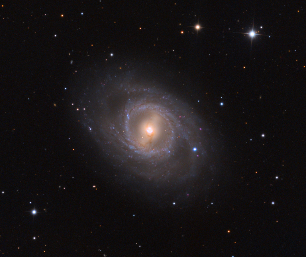 APOD: 2012 March 22 – M95 with Supernova