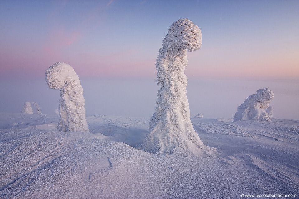 APOD: 2012 May 29 – Sentinels of the Arctic