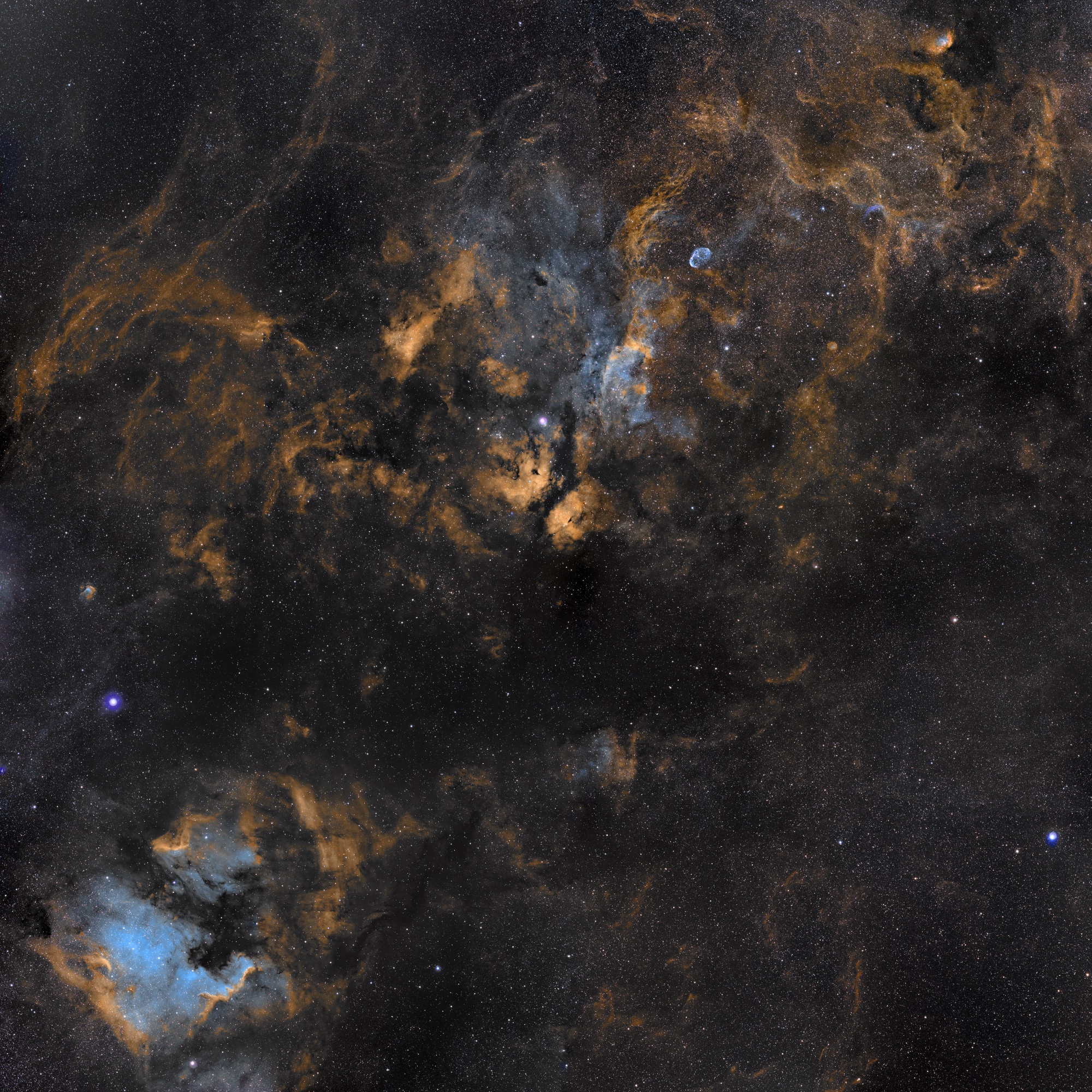 APOD: 2012 November 30 – Clouds in Cygnus