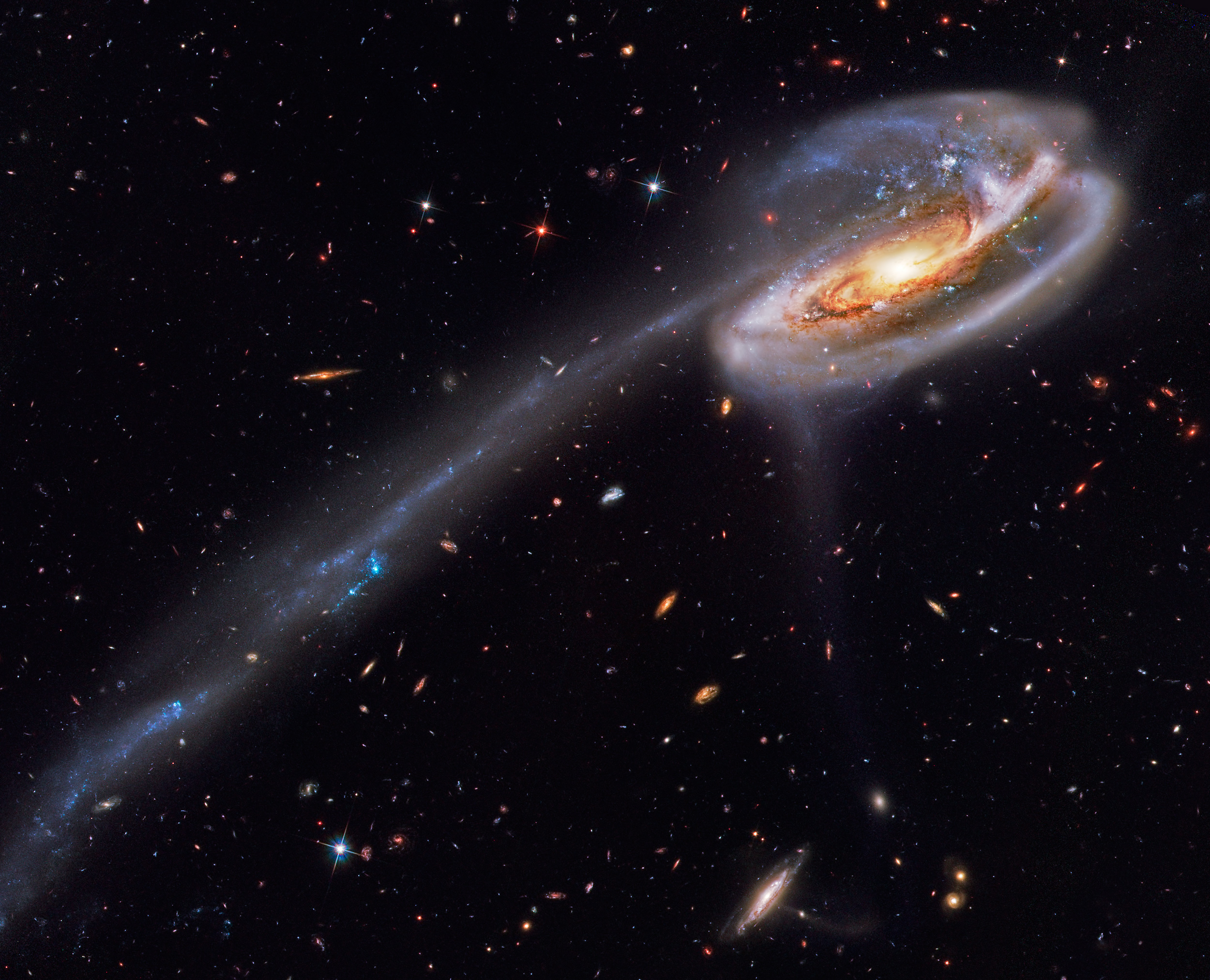APOD: 2012 November 8 – Arp 188 and the Tadpole’s Tail