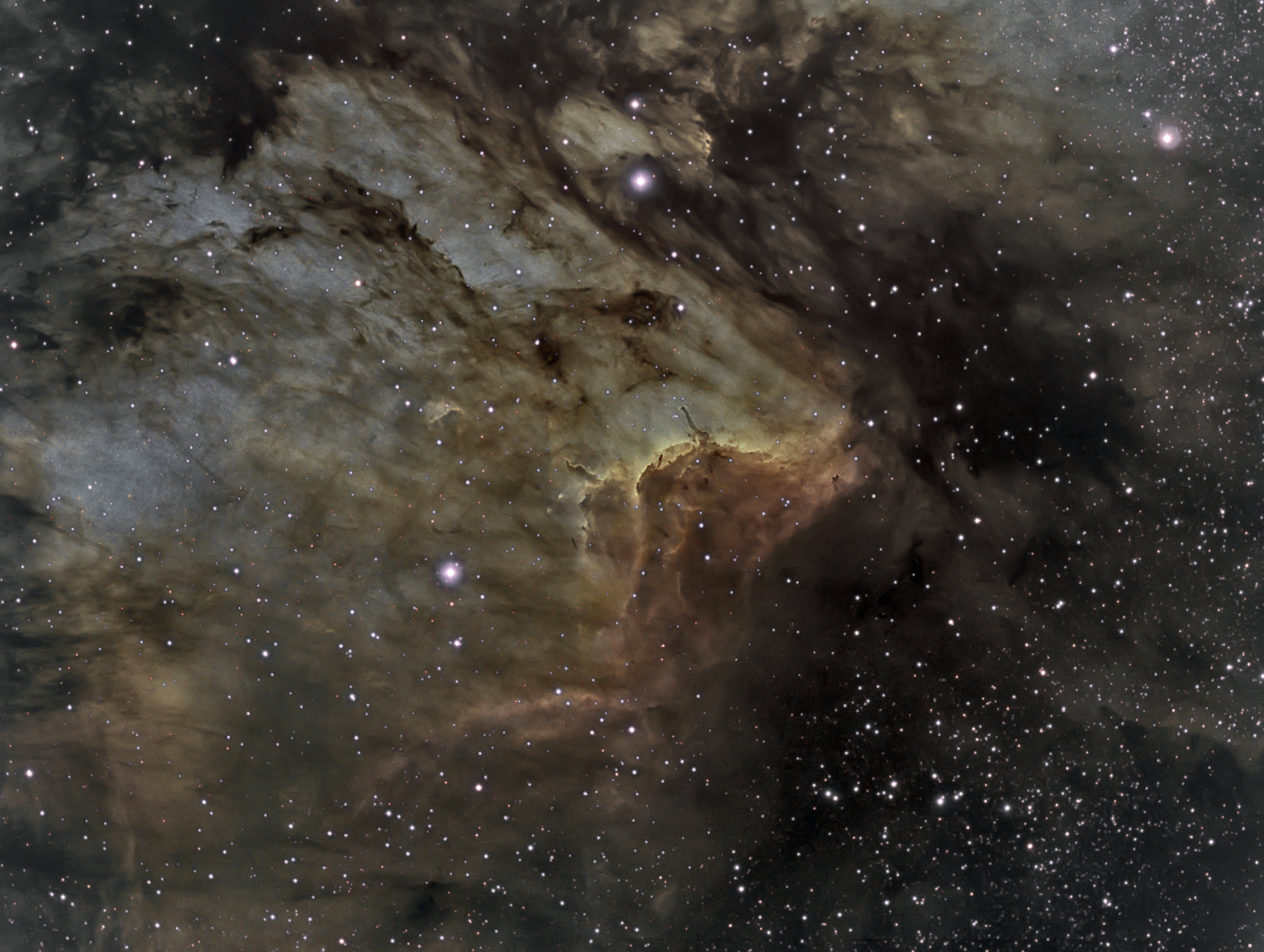 APOD: 2013 August 22 – IC 5067 in the Pelican Nebula
