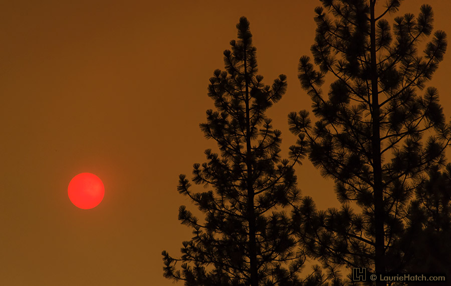 APOD: 2013 August 29 – Strawberry Sun