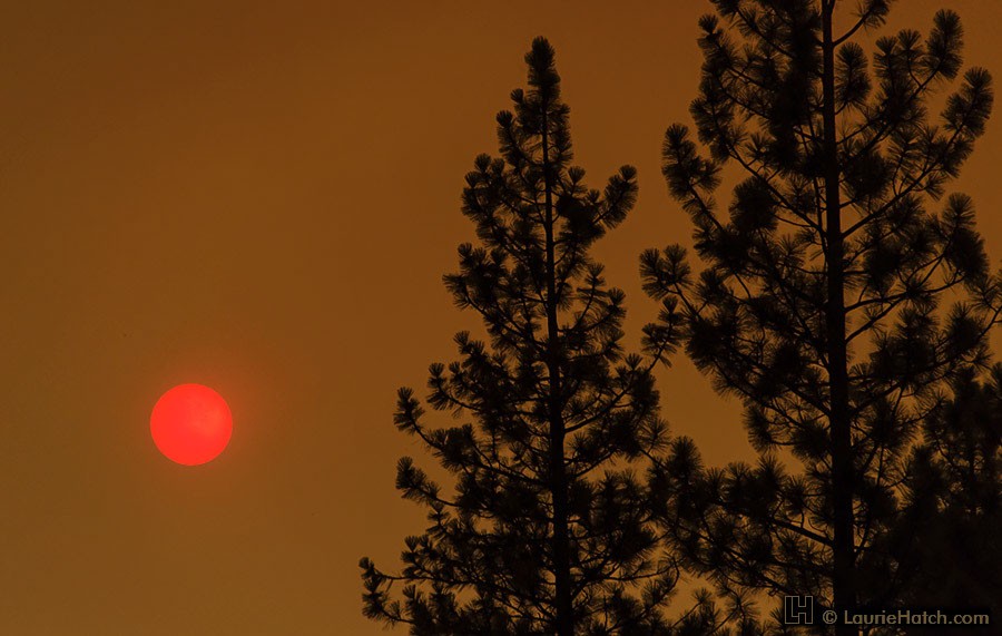 Strawberry Sun — APOD for 2013-08-29