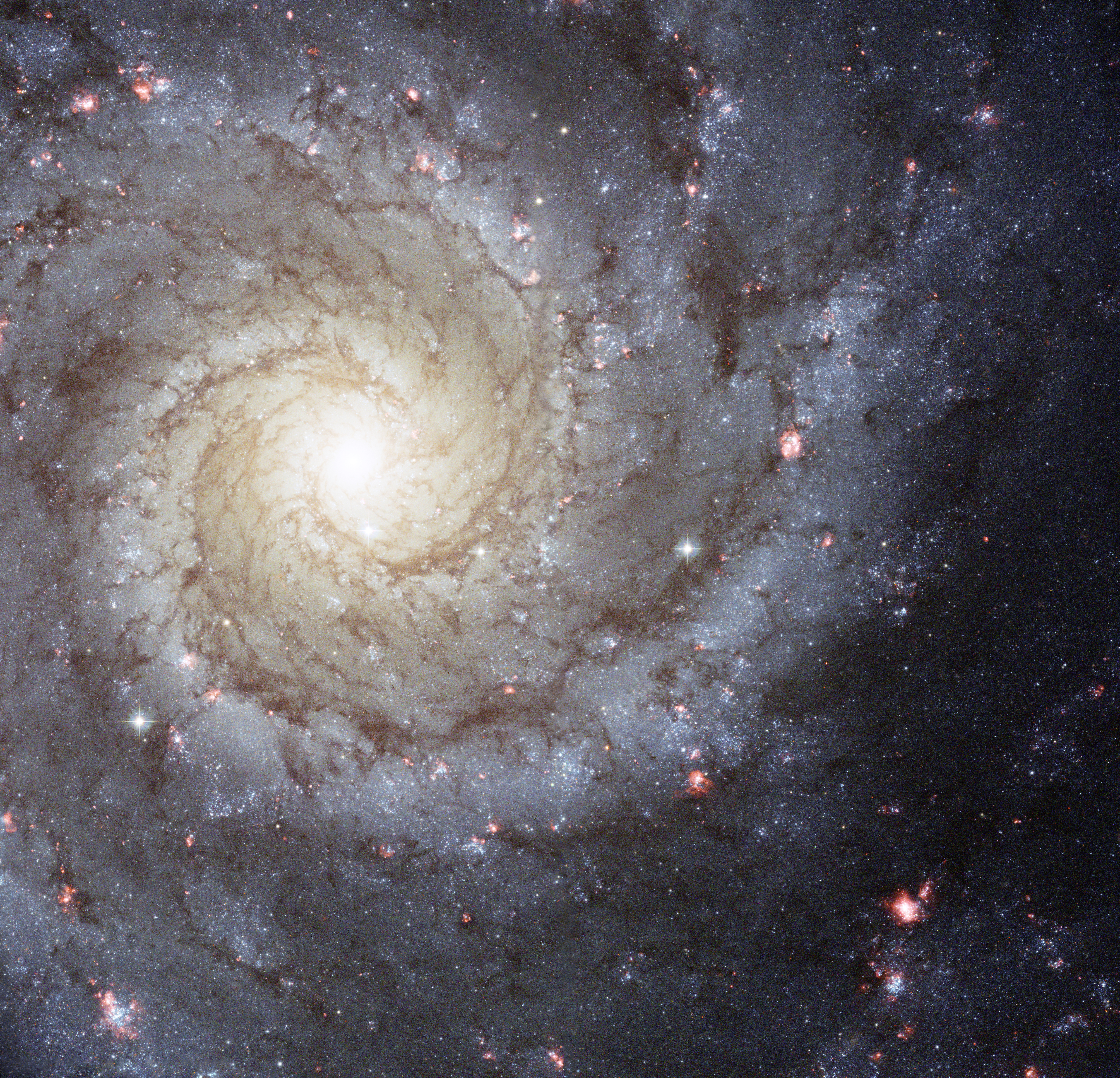 APOD: 2013 August 11 – M74: The Perfect Spiral