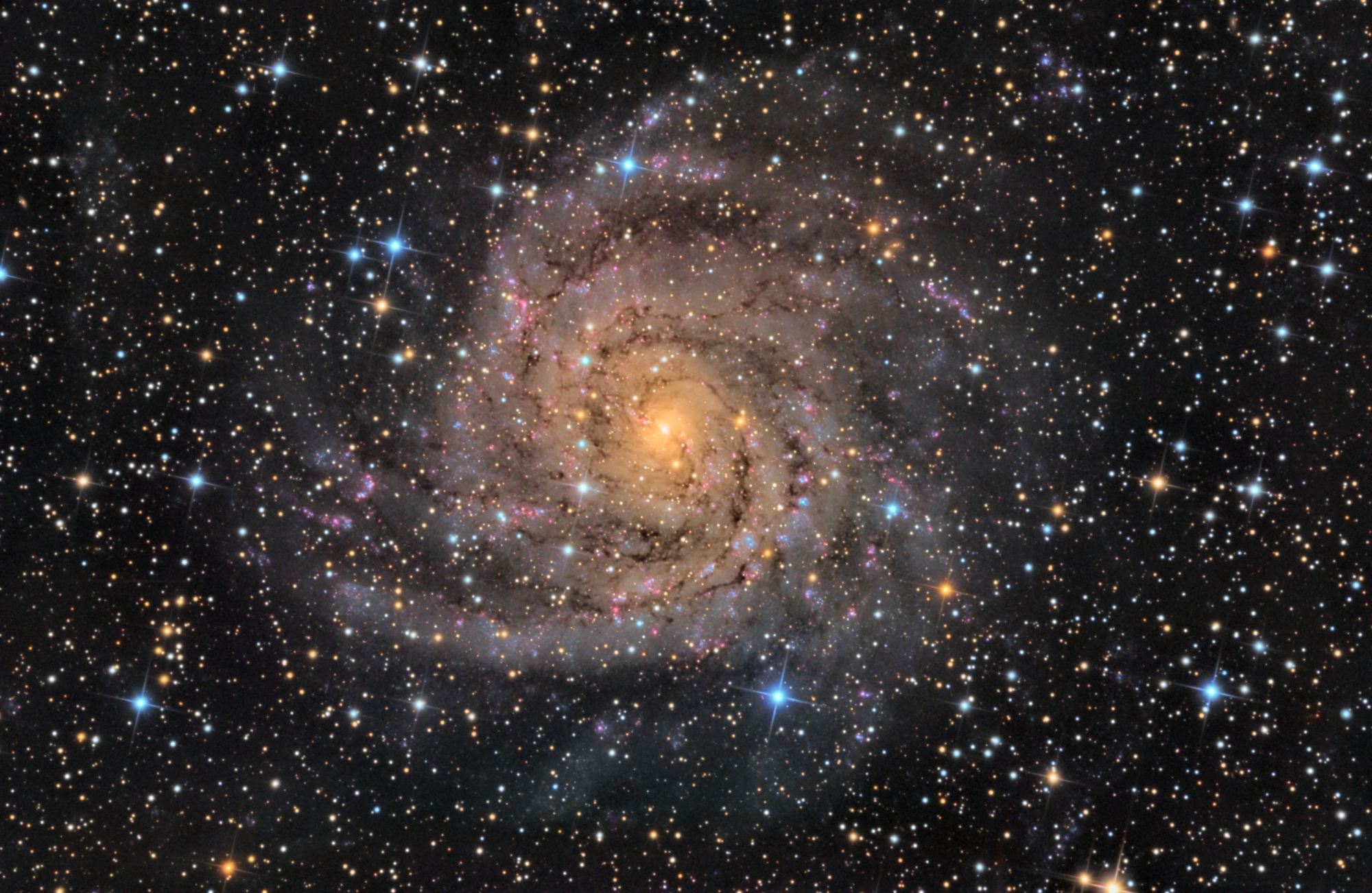 APOD: 2013 July 18 – Hidden Galaxy IC 342