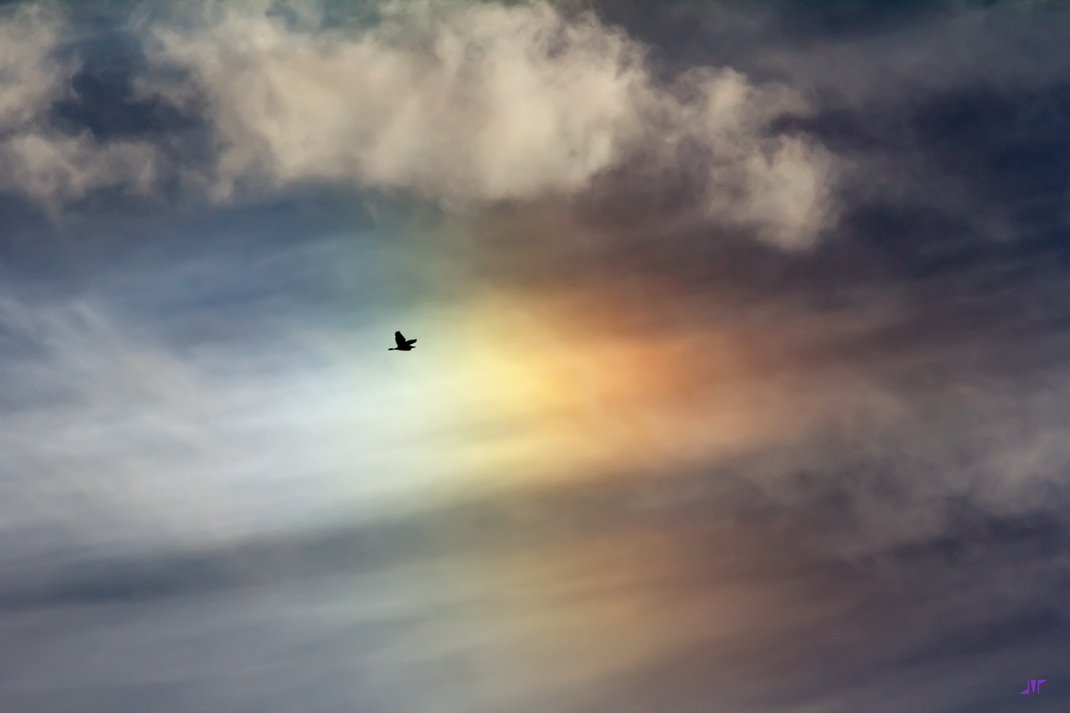 APOD: 2013 May 27 – Bird Sun Dog