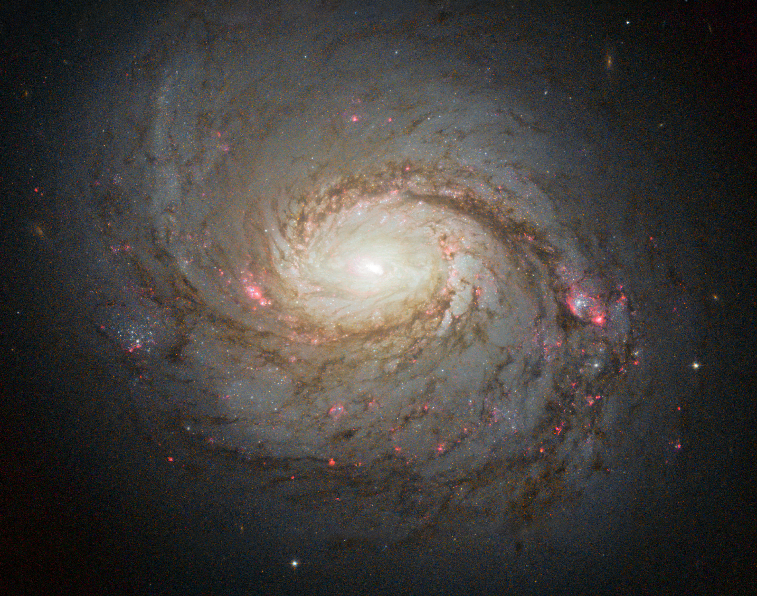 APOD: 2013 May 10 – Messier 77