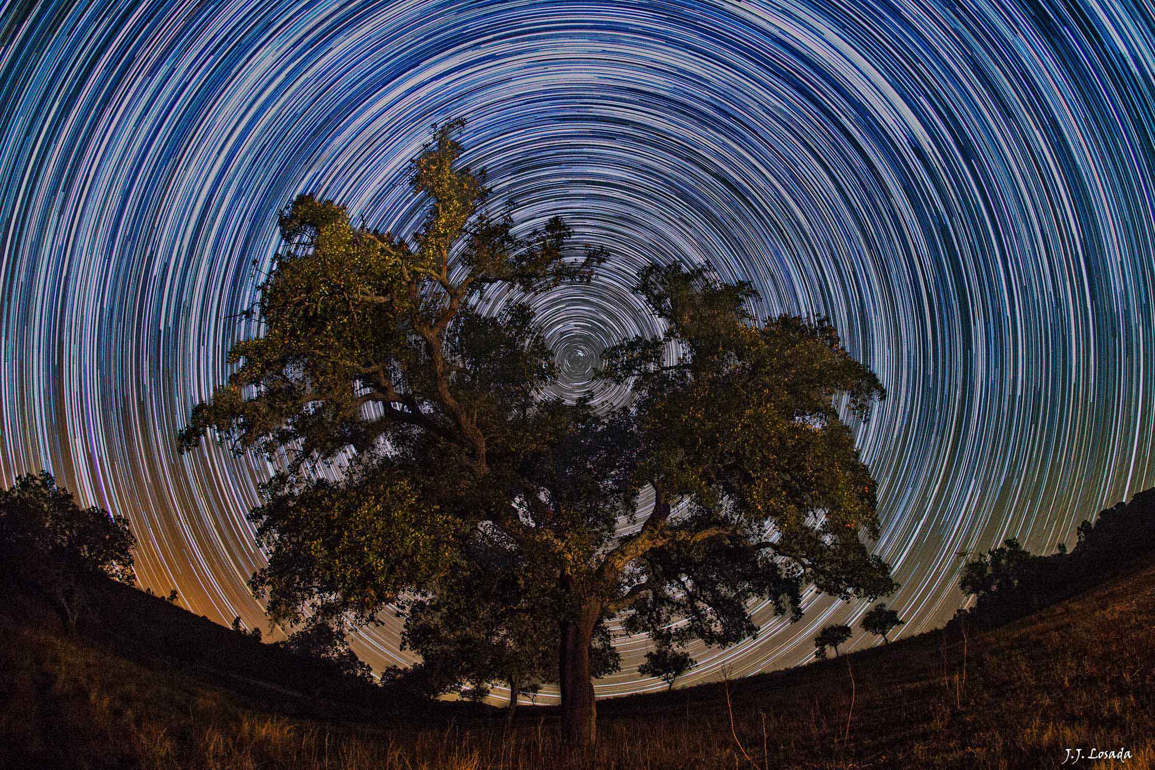 APOD: 2013 October 23 – North Celestial Tree
