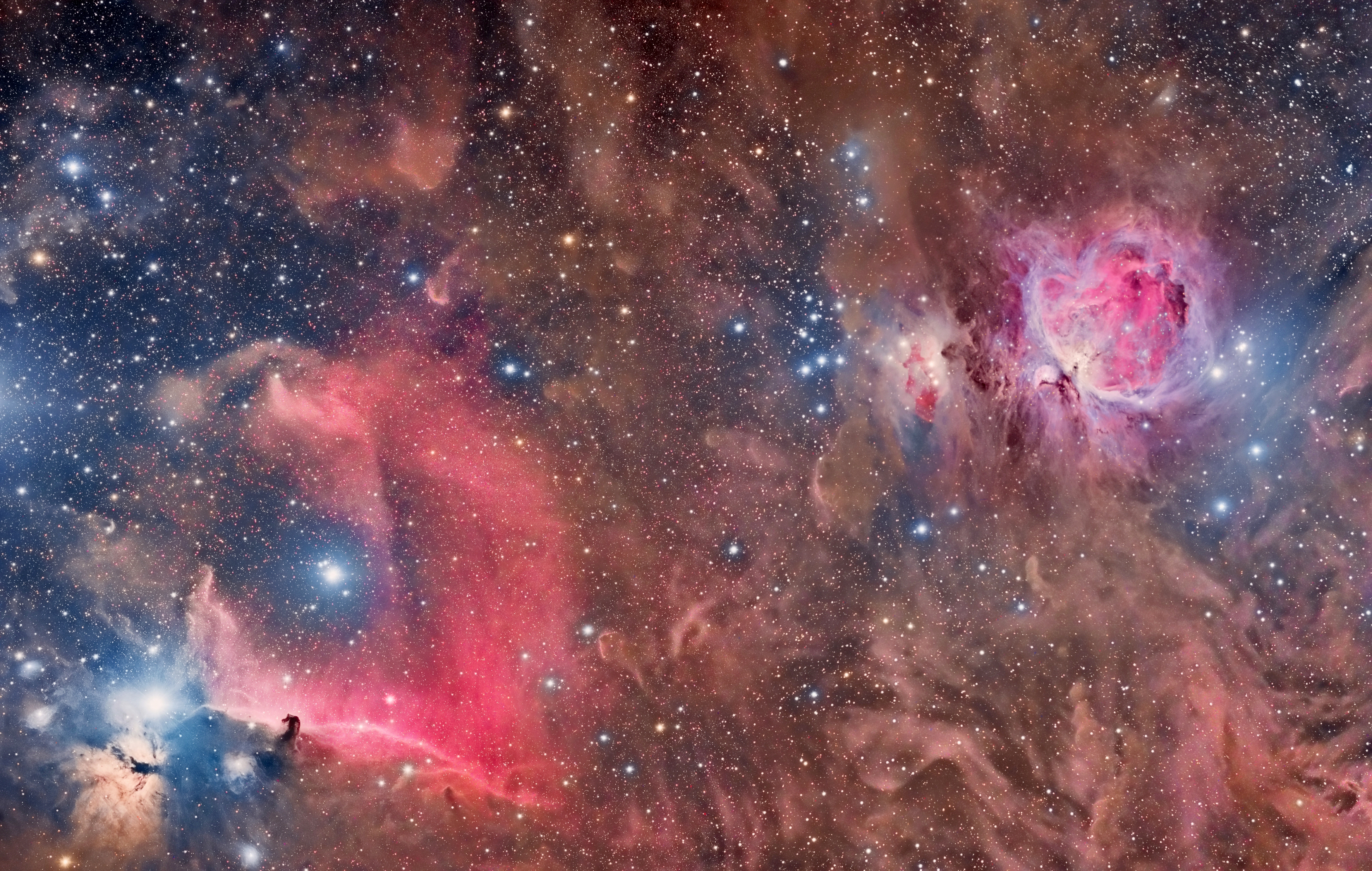 APOD: 2013 October 29 – Horsehead and Orion Nebulas