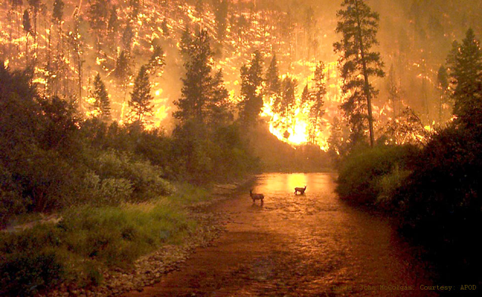 APOD: 2013 September 1 – Fire on Earth