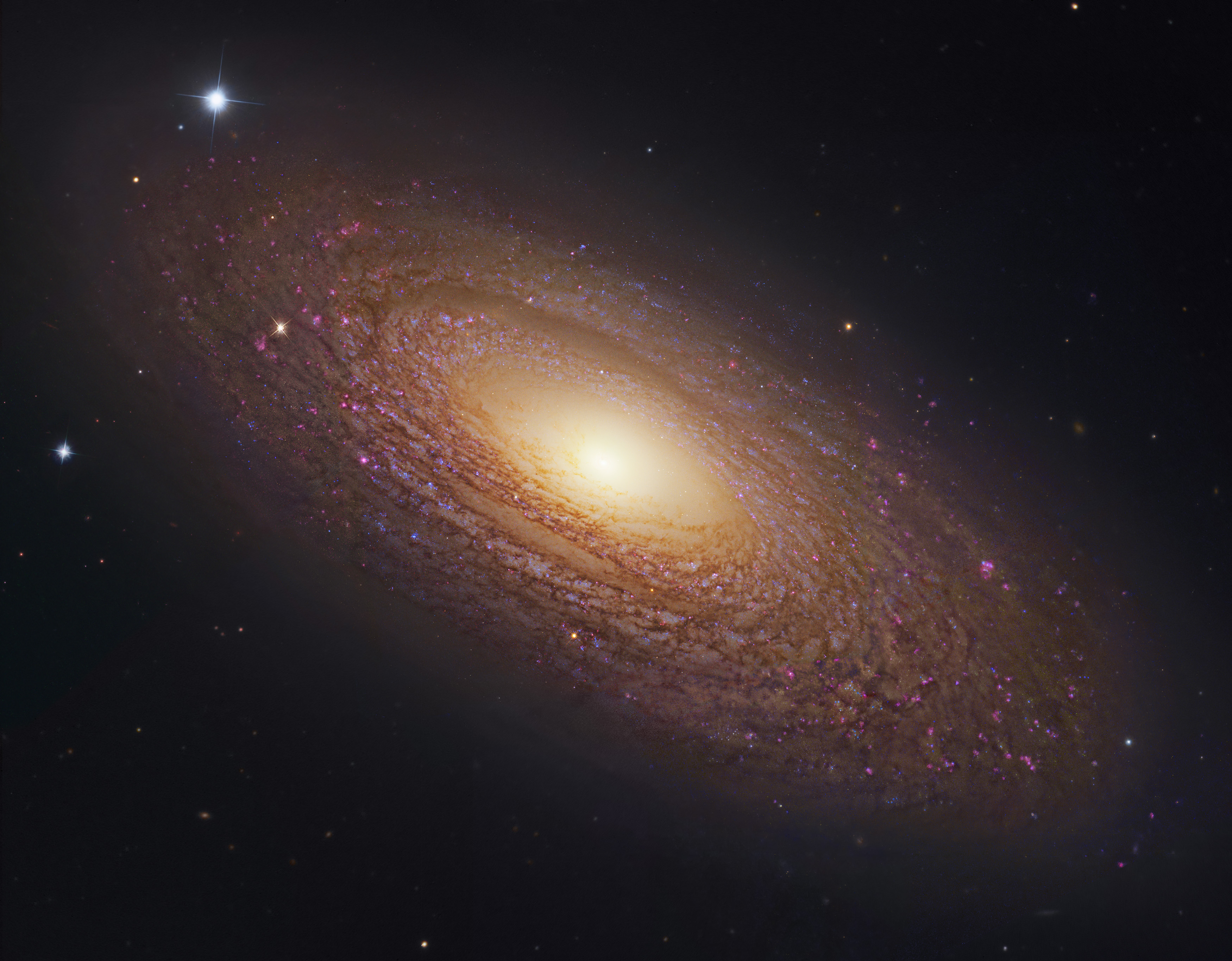 APOD: 2014 April 21 – Massive Nearby Spiral Galaxy NGC 2841