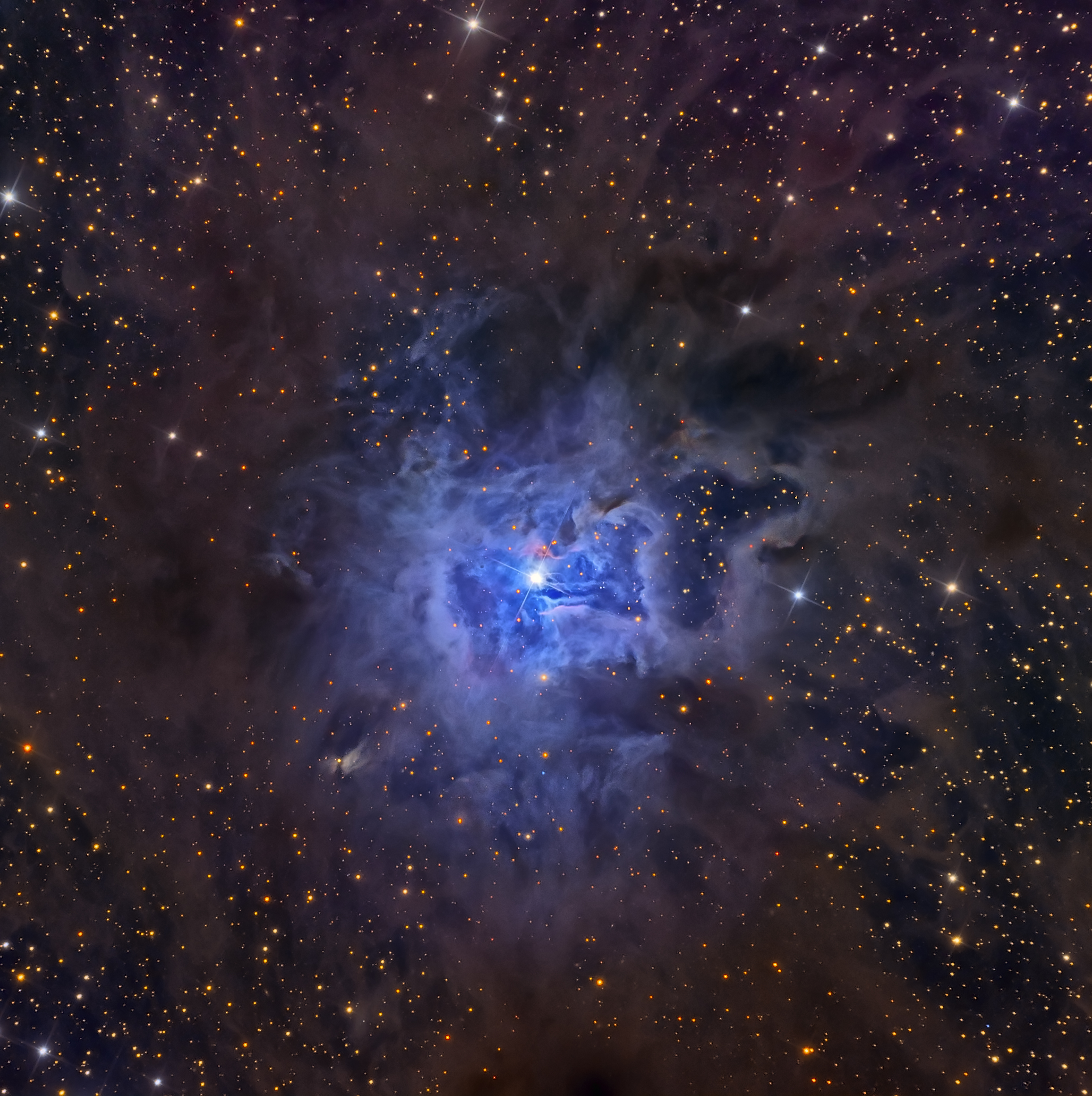 APOD: 2014 August 2 – NGC 7023: The Iris Nebula