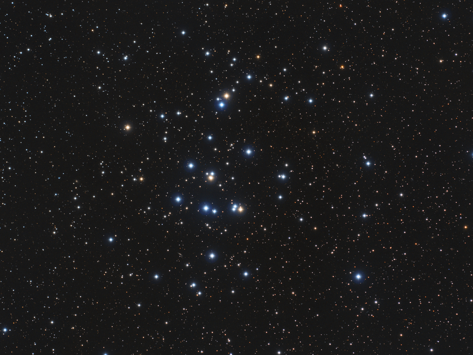 APOD: 2014 February 22 – M44: The Beehive Cluster