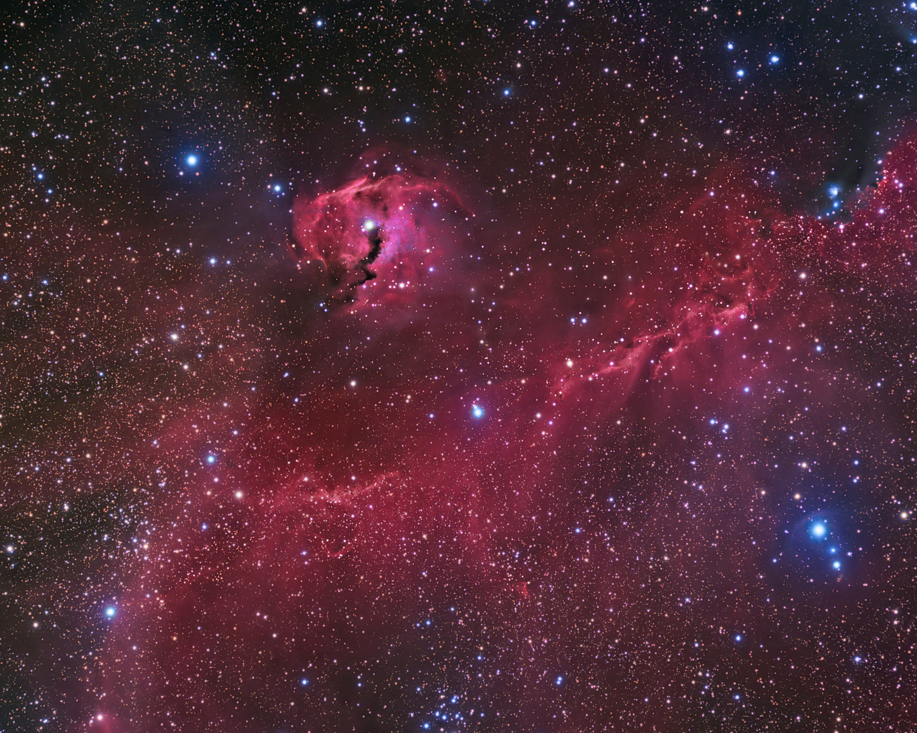 APOD: 2014 January 11 – The Seagull Nebula
