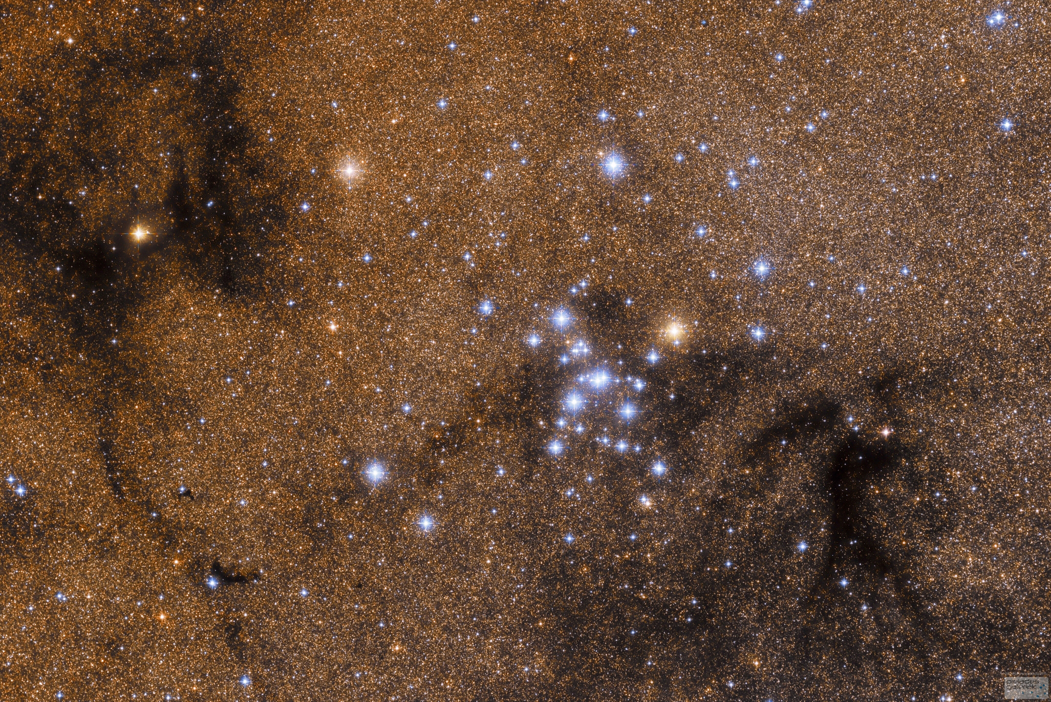 APOD: 2014 January 7 – M7: Open Star Cluster in Scorpius