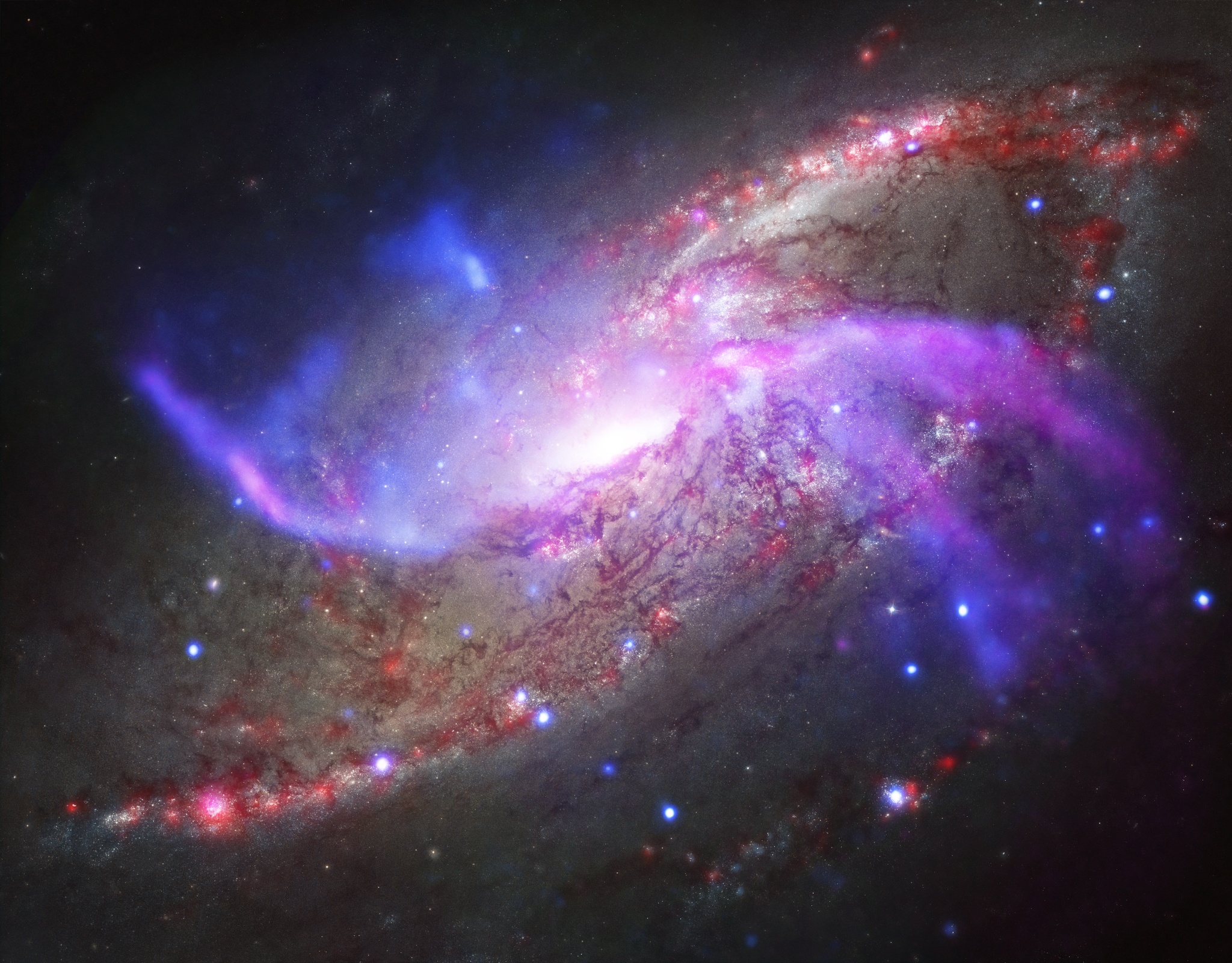 APOD: 2014 July 5 – M106 Across the Spectrum