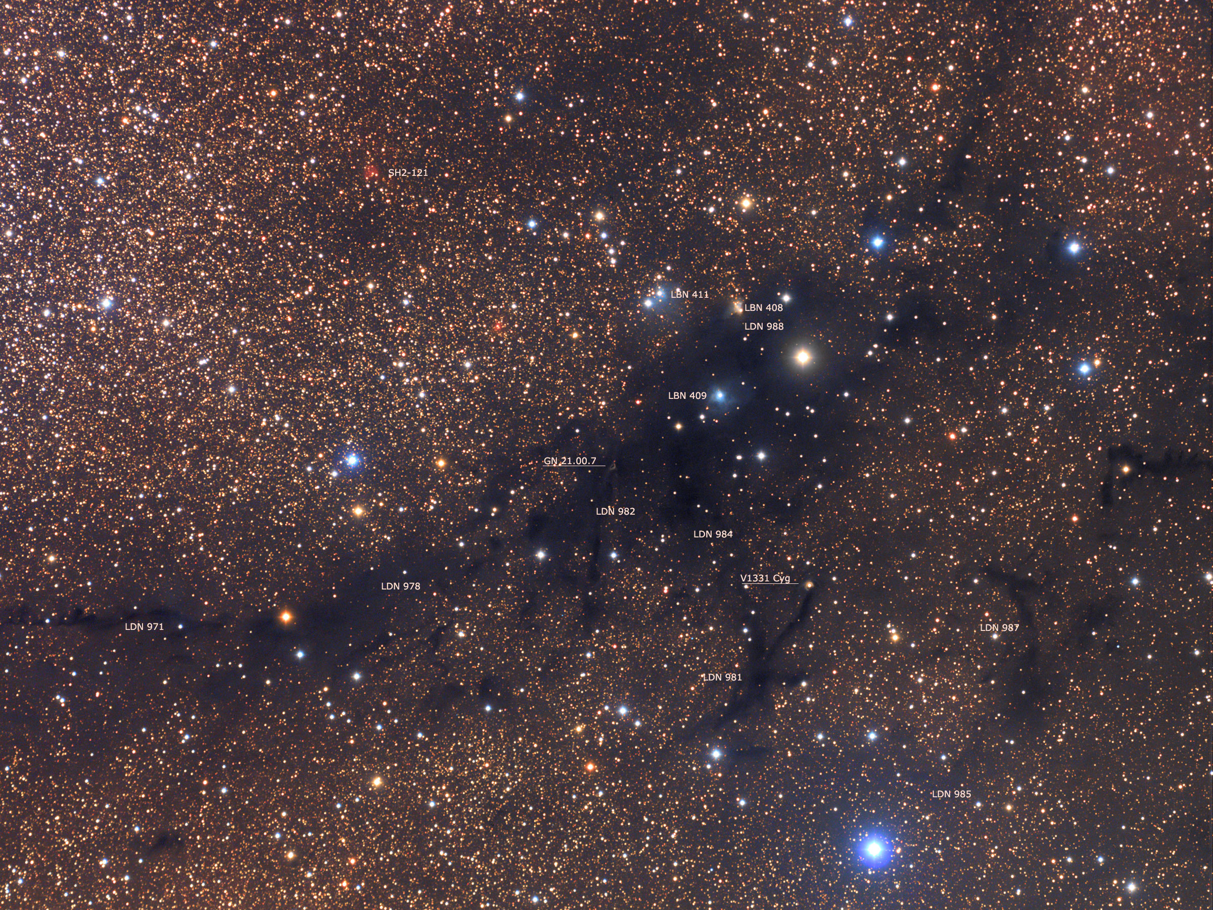 APOD: 2014 November 20 – LDN 988: Dark Nebula in Cygnus