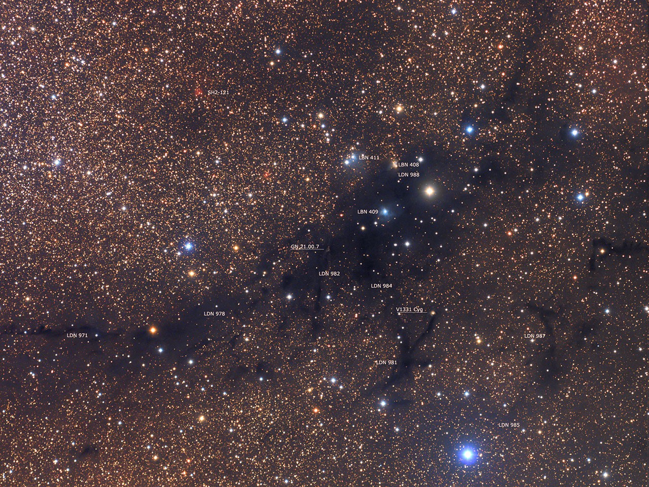 LDN 988: Dark Nebula in Cygnus — APOD for 2014-11-20