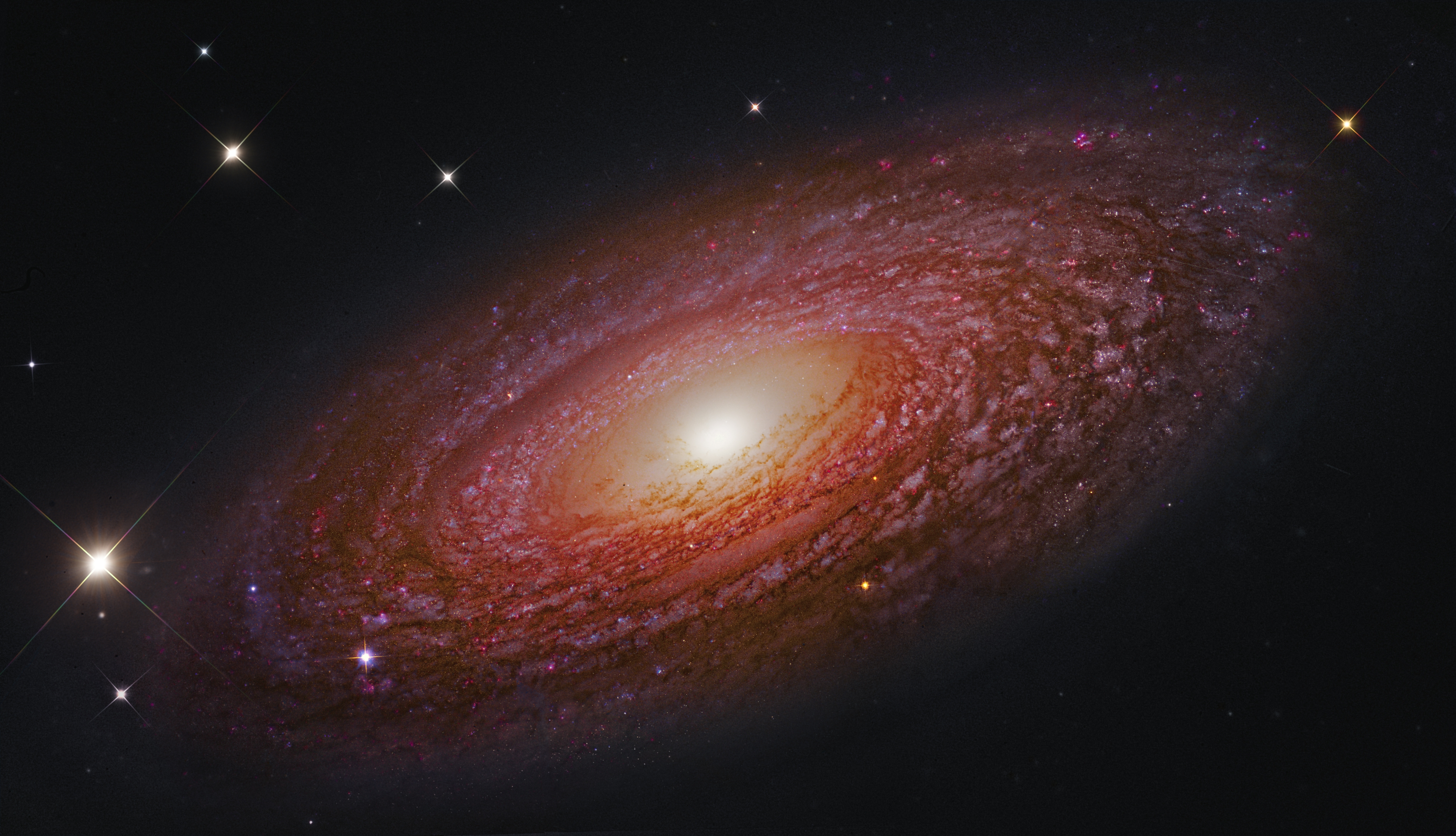 APOD: 2015 April 28 – Massive Nearby Spiral Galaxy NGC 2841
