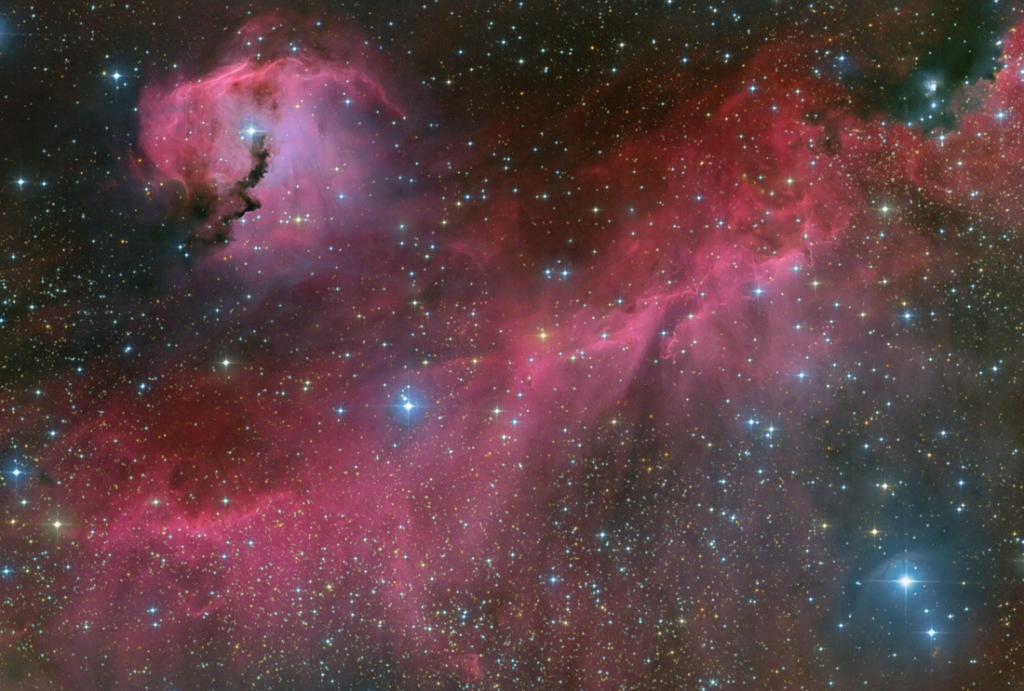 APOD: 2015 August 29 – The Seagull Nebula