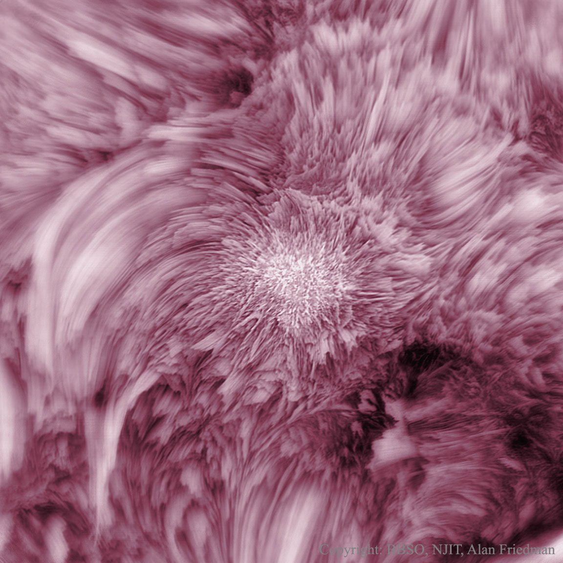 APOD: 2015 February 17 – Fibrils Flower on the Sun