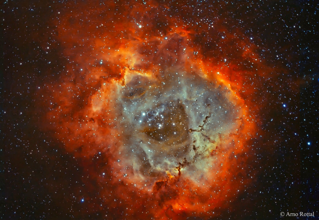 APOD: 2015 February 25 – The Rosette Nebula in Hydrogen and Oxygen