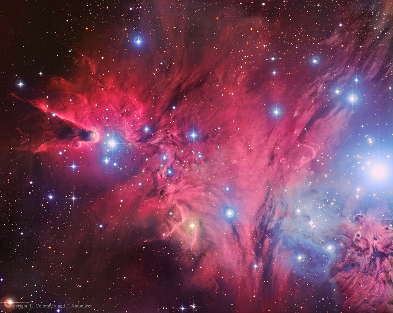 A Fox Fur, a Unicorn, and a Christmas Tree — APOD for 2015-01-05