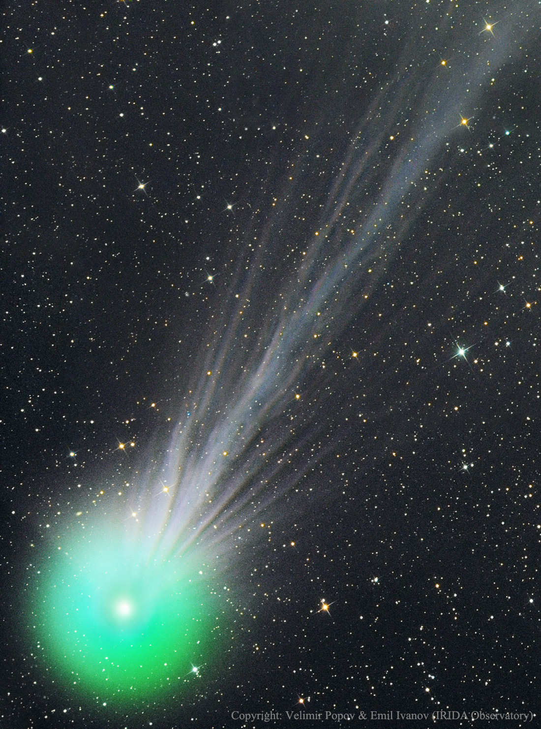 APOD: 2015 January 21 – The Complex Ion Tail of Comet Lovejoy