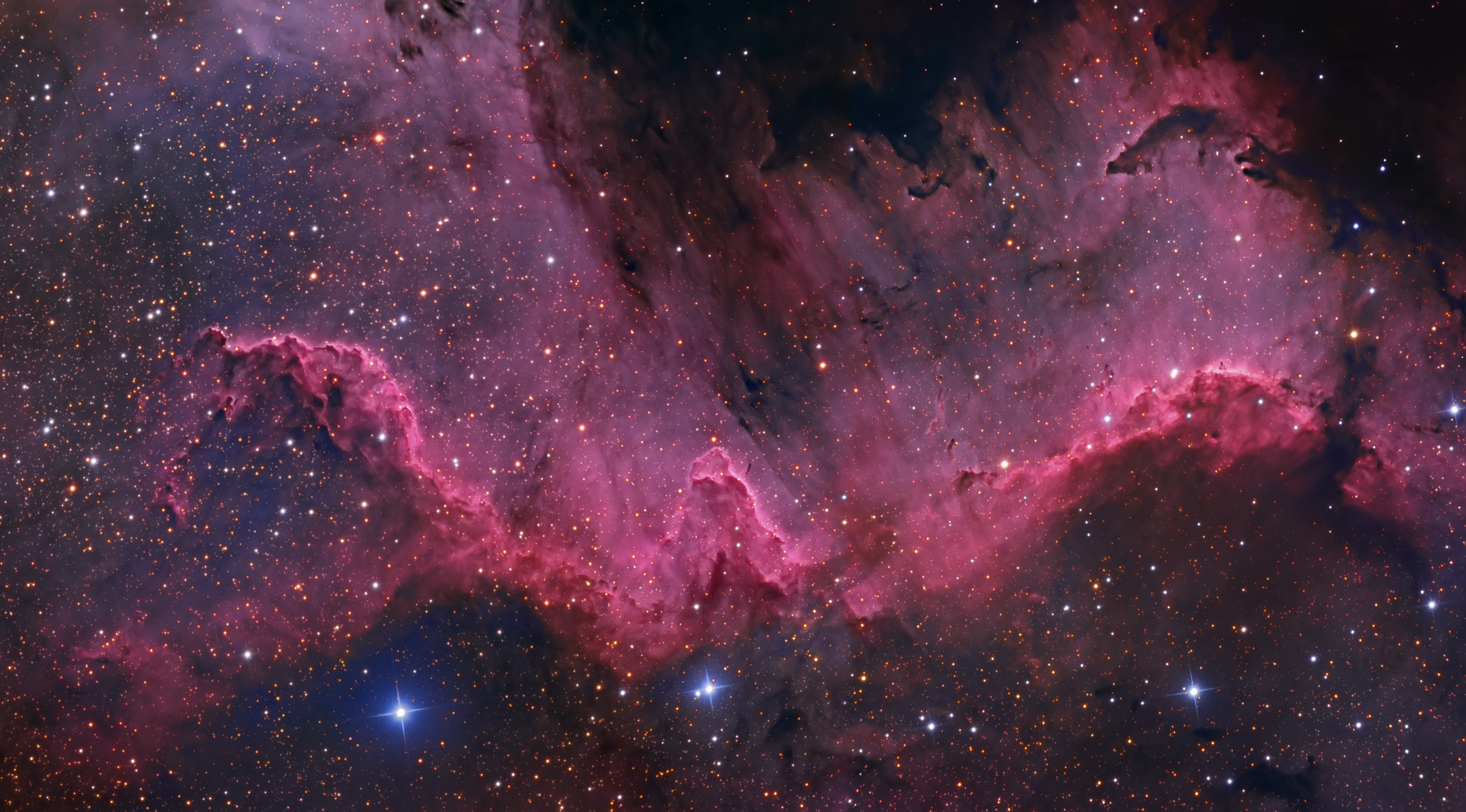 APOD: 2015 March 12 – Along the Cygnus Wall