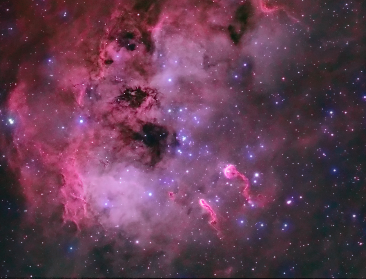 APOD: 2015 November 13 – The Tadpoles of IC 410