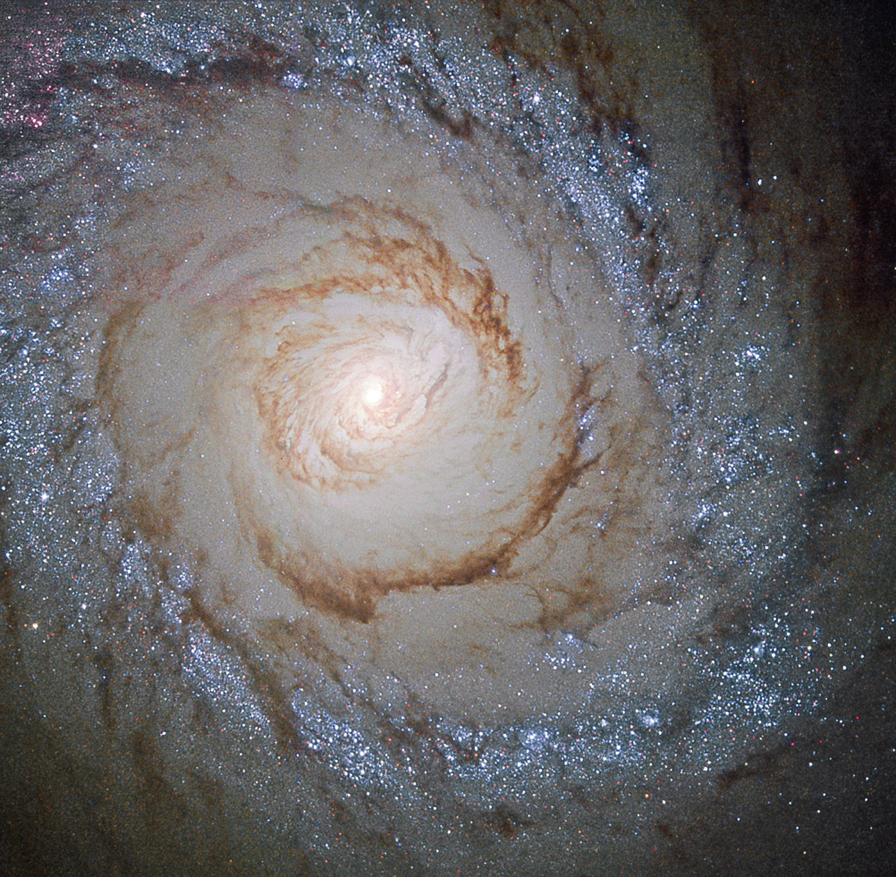 APOD: 2015 October 23 – Starburst Galaxy Messier 94