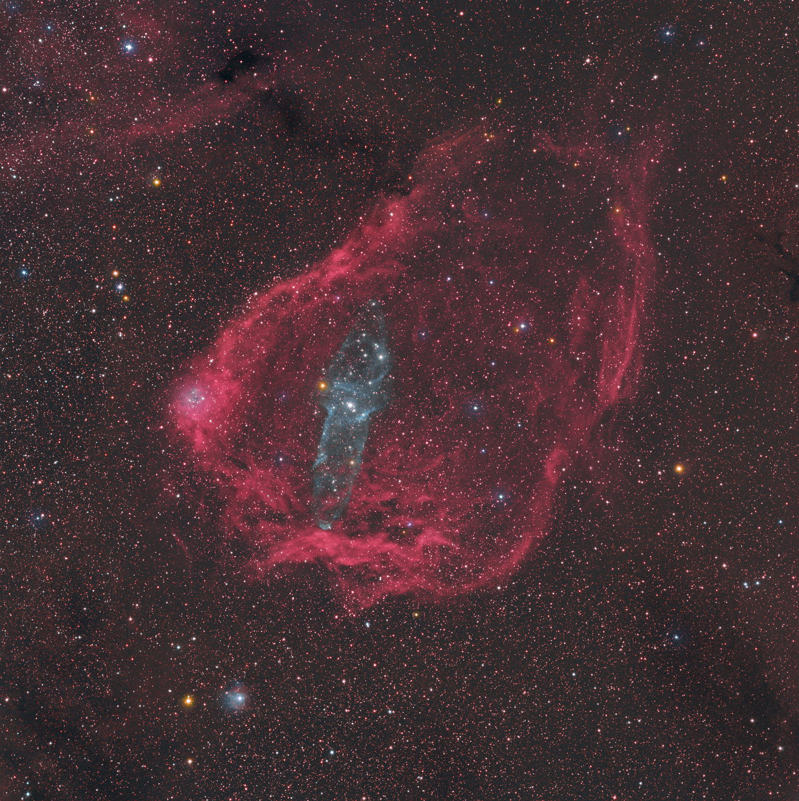 APOD: 2015 September 11 – A Giant Squid in the Flying Bat