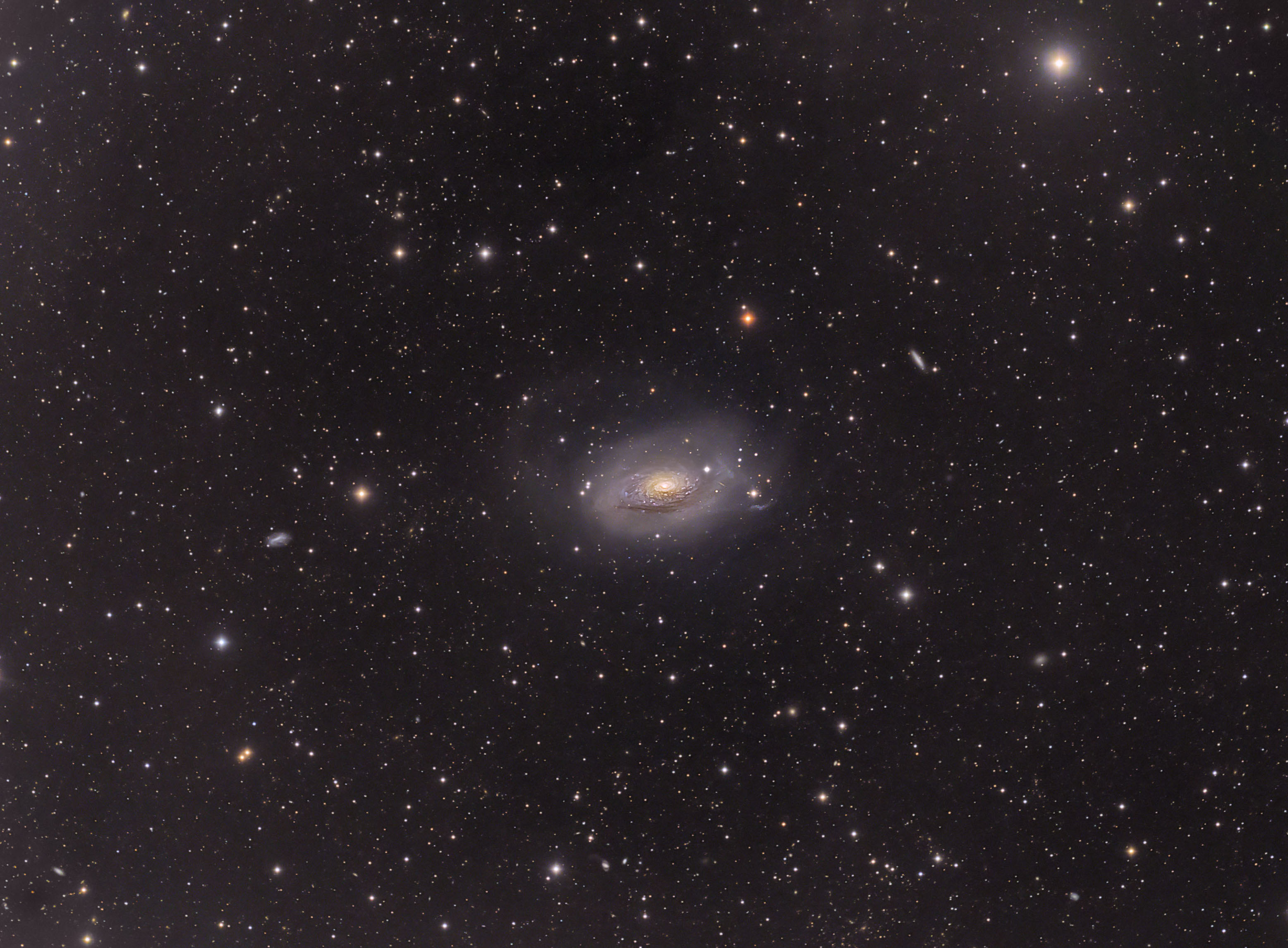 APOD: 2016 August 4 – M63: Sunflower Galaxy Wide Field