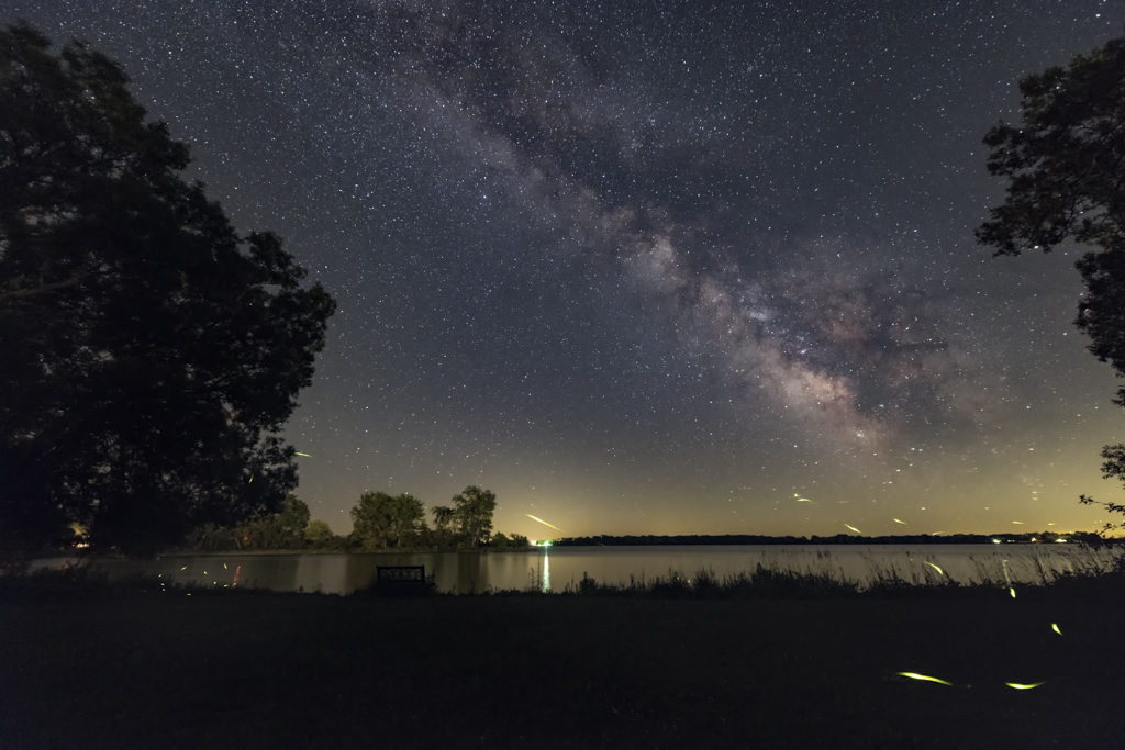 APOD: 2016 July 2 – Firefly Trails and the Summer Milky Way